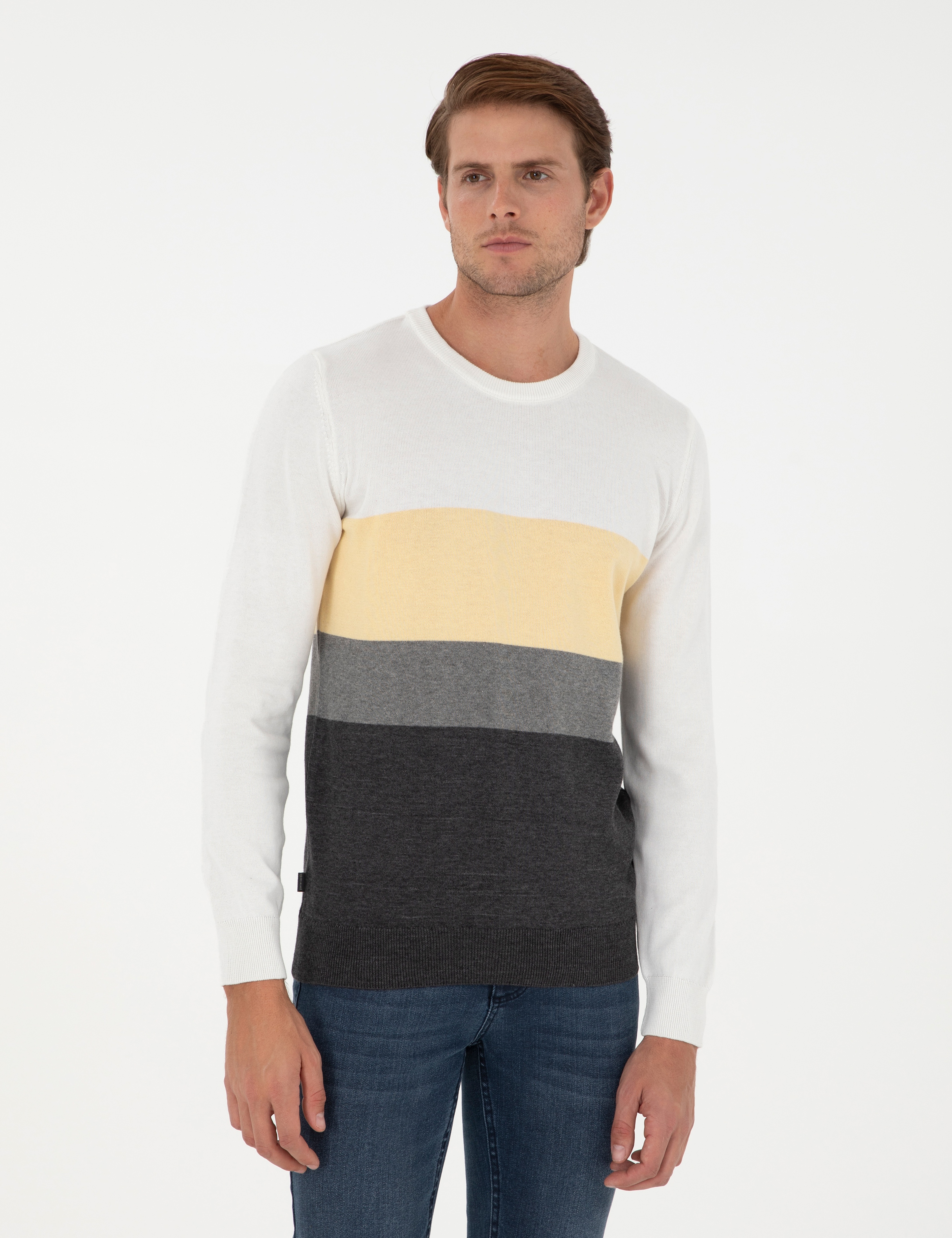 Gri Melanj Slim Fit Bisiklet Yaka Triko Kazak - Image 1