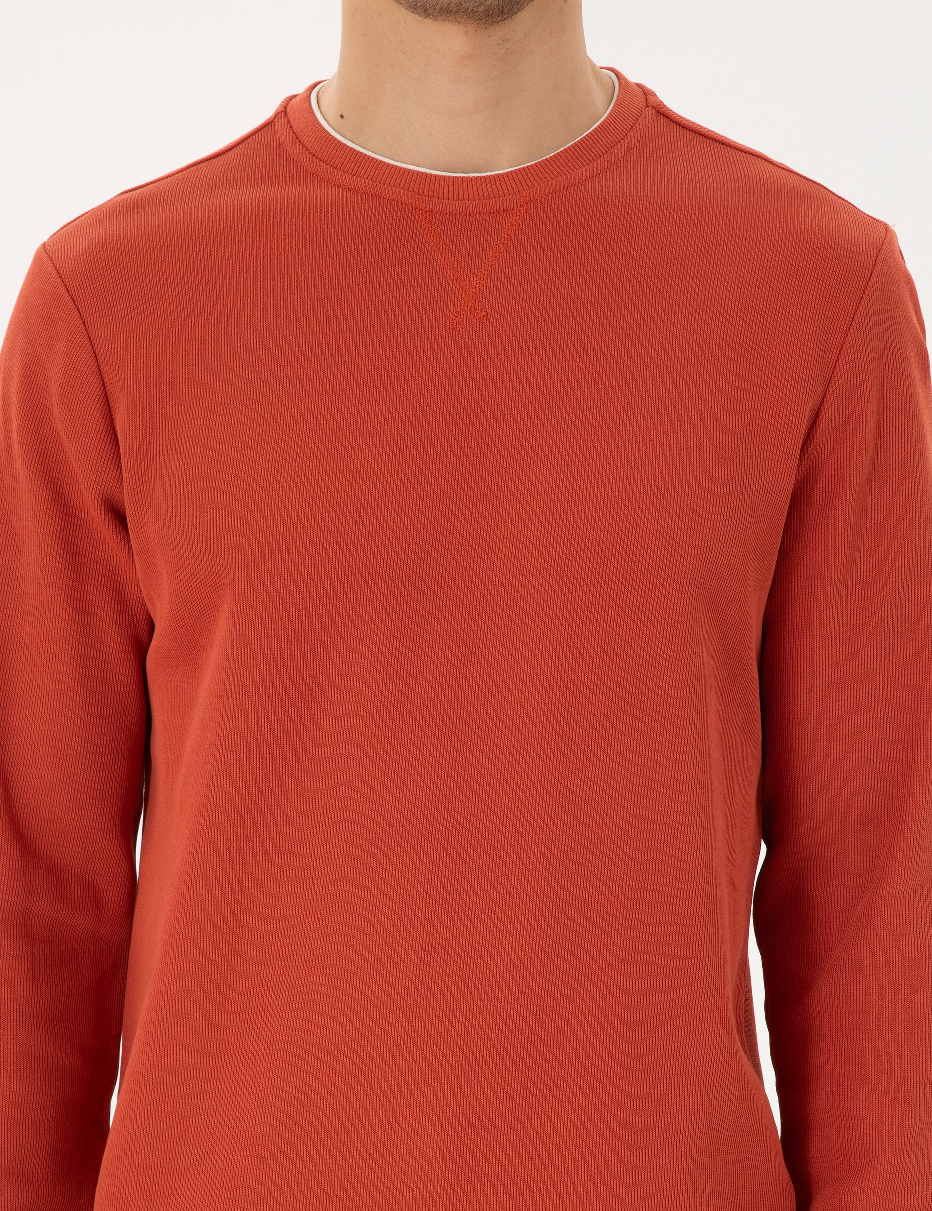 Kahverengi Regular Fit Sweatshirt - Image 6