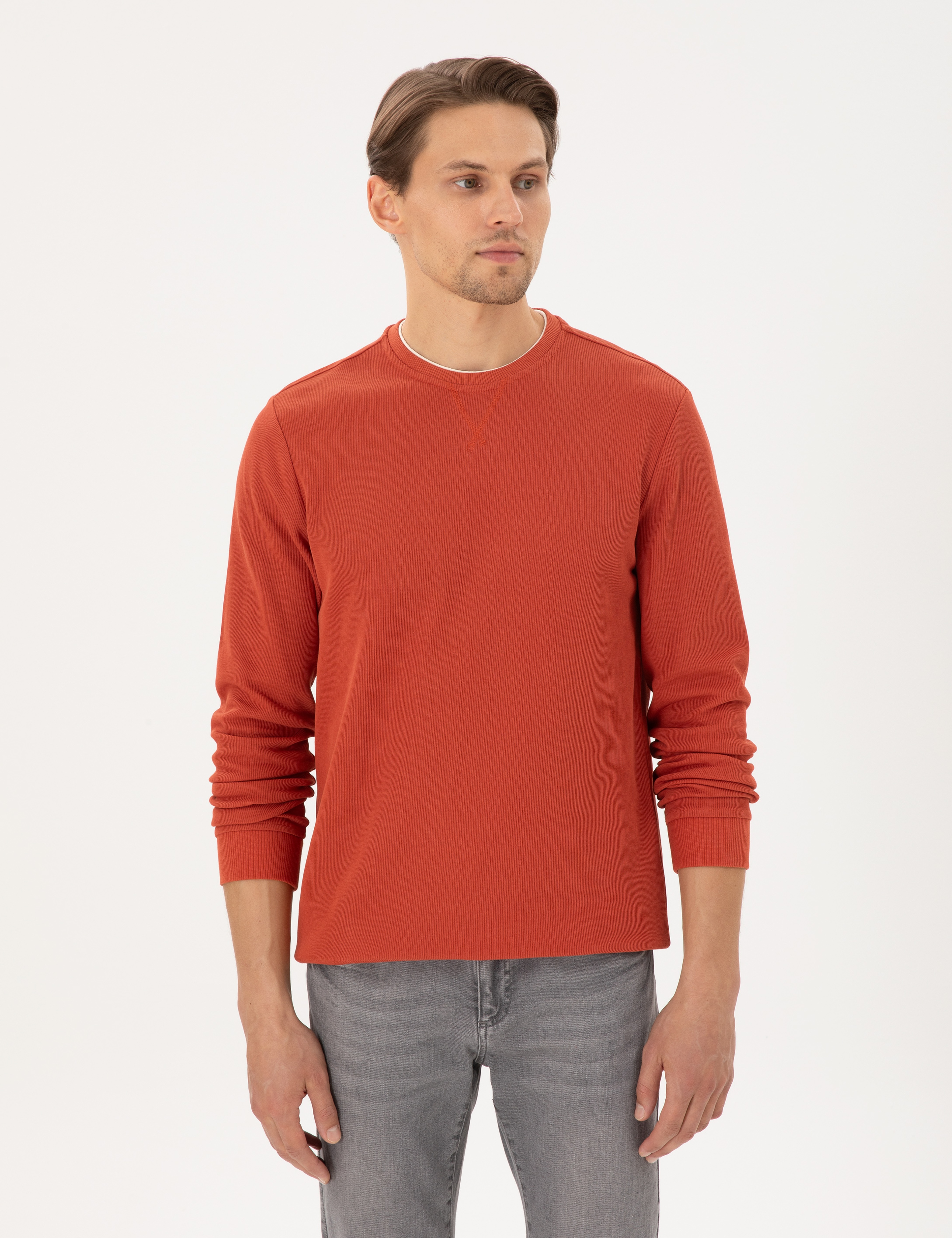 Kahverengi Regular Fit Sweatshirt - Image 1