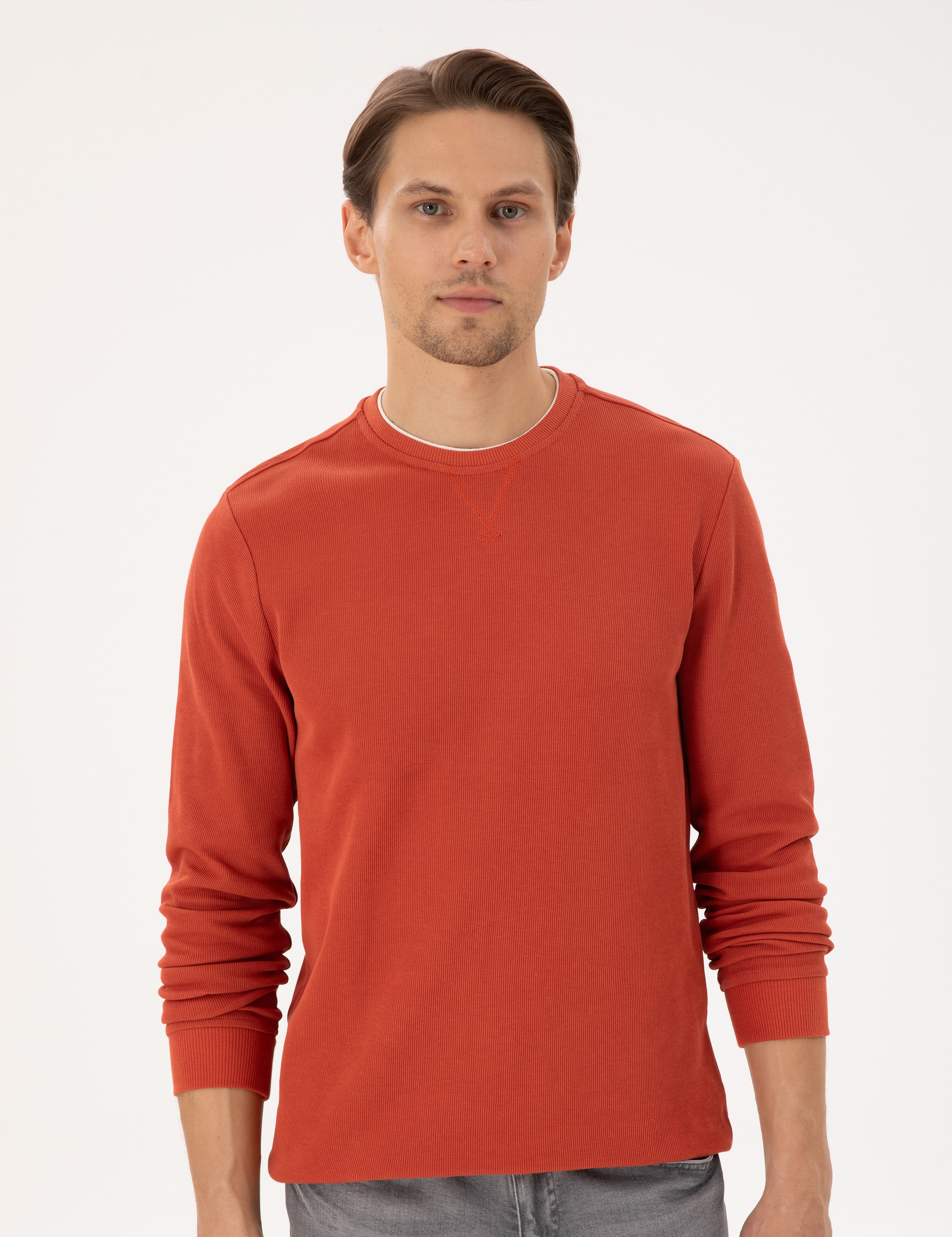 Kahverengi Regular Fit Sweatshirt - Image 3