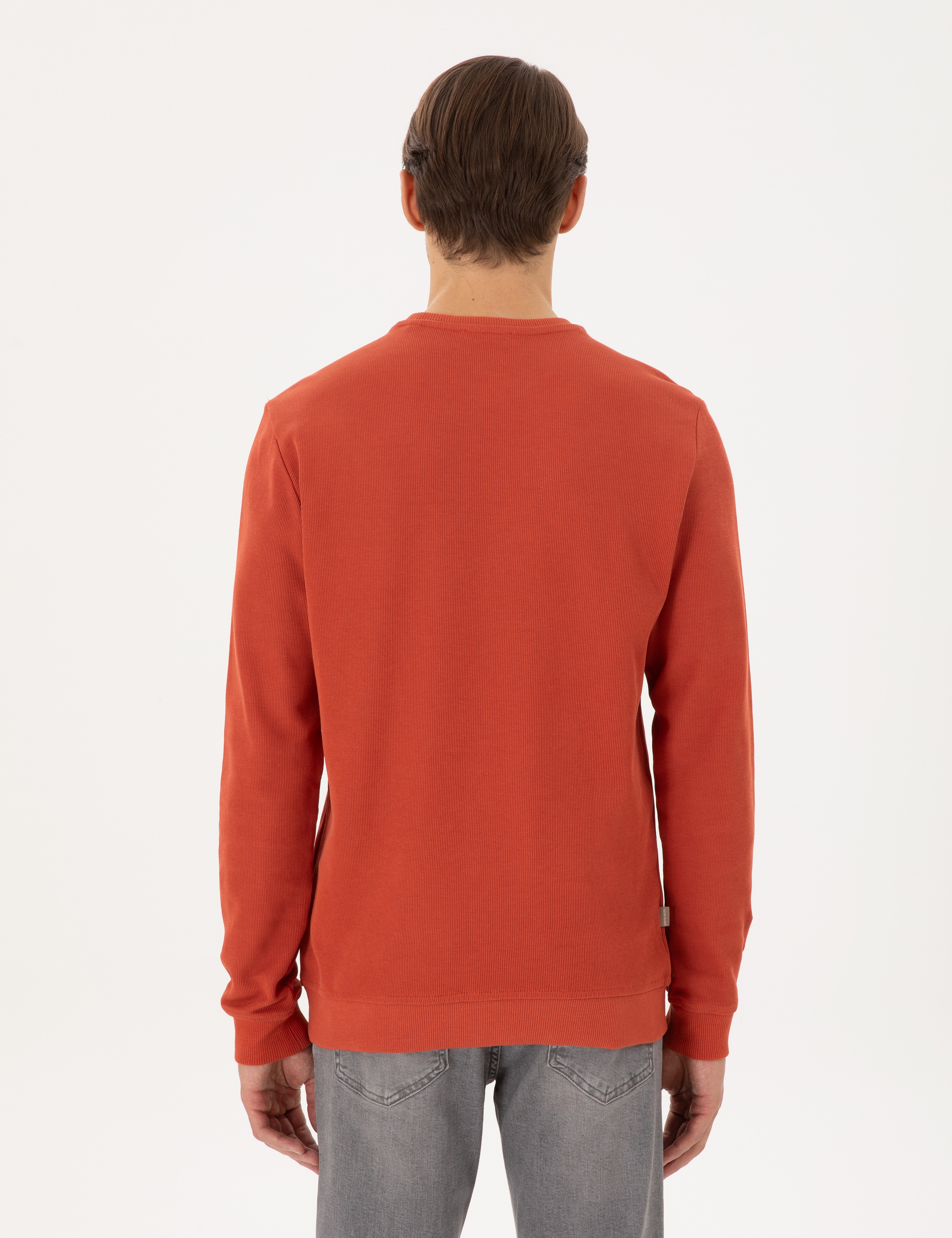 Kahverengi Regular Fit Sweatshirt - Image 5