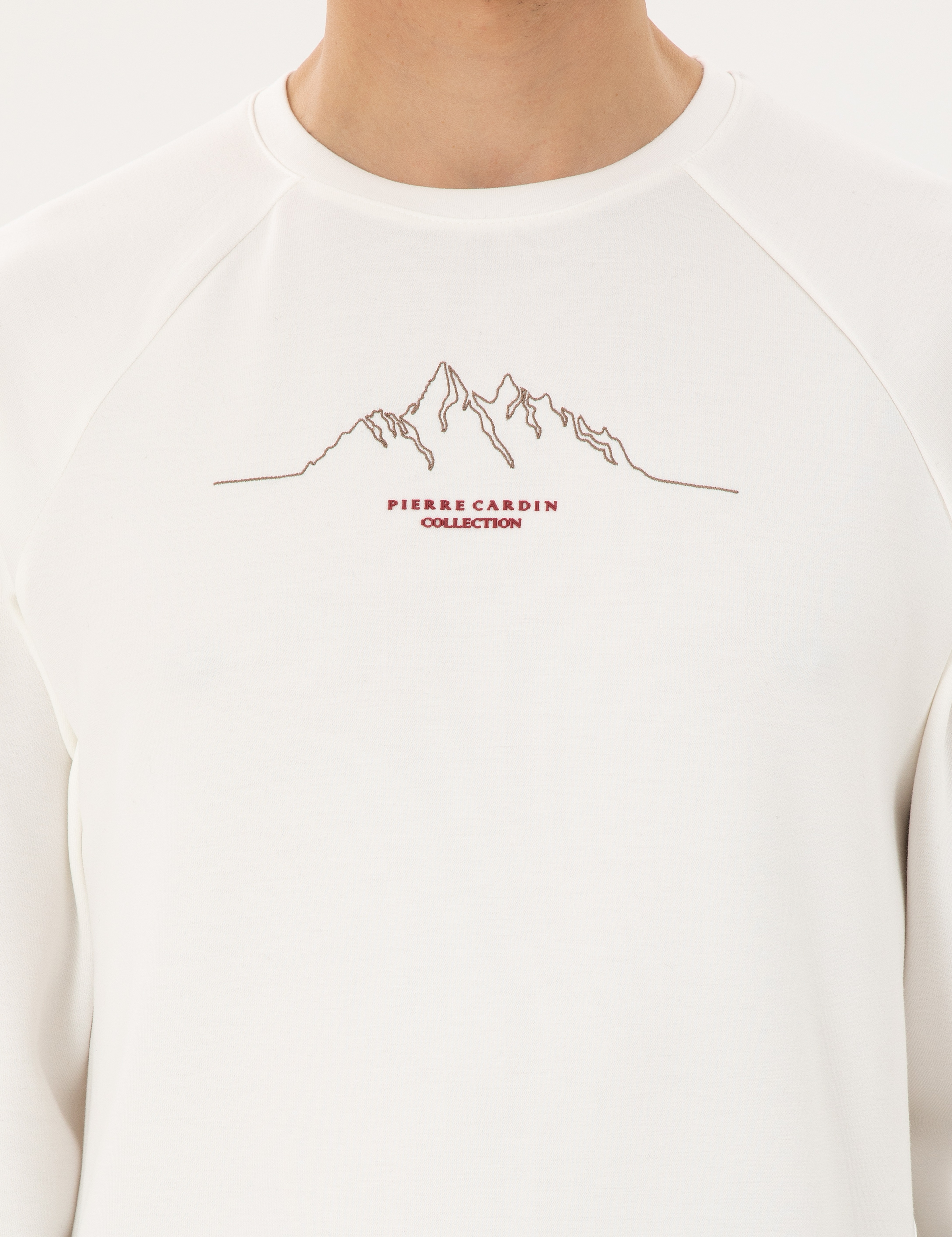 Ekru Regular Fit Sweatshirt - Image 6