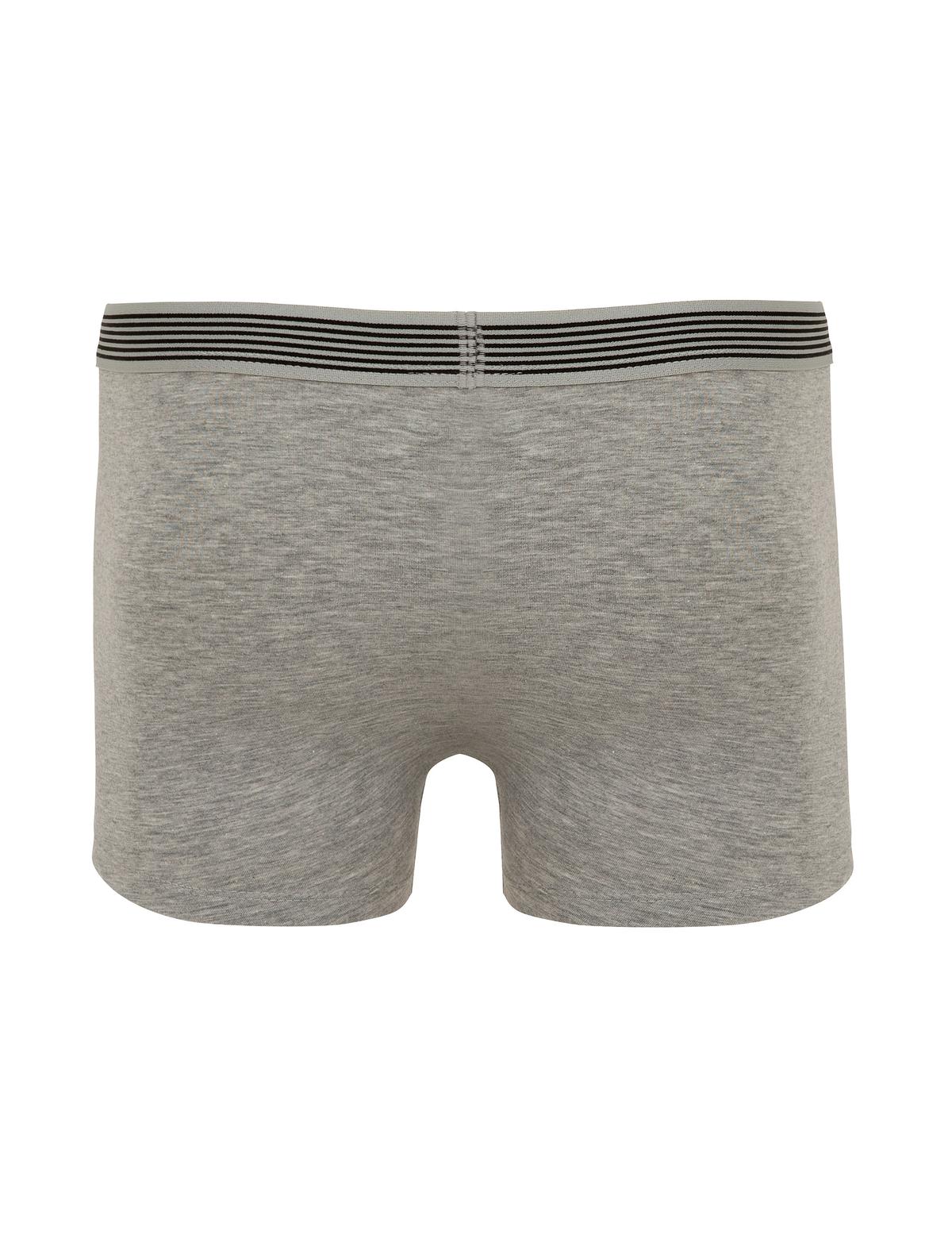 Renkli 3'lü Boxer - 50230035002