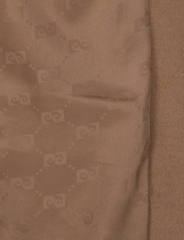 Camel Regular Fit Ceket