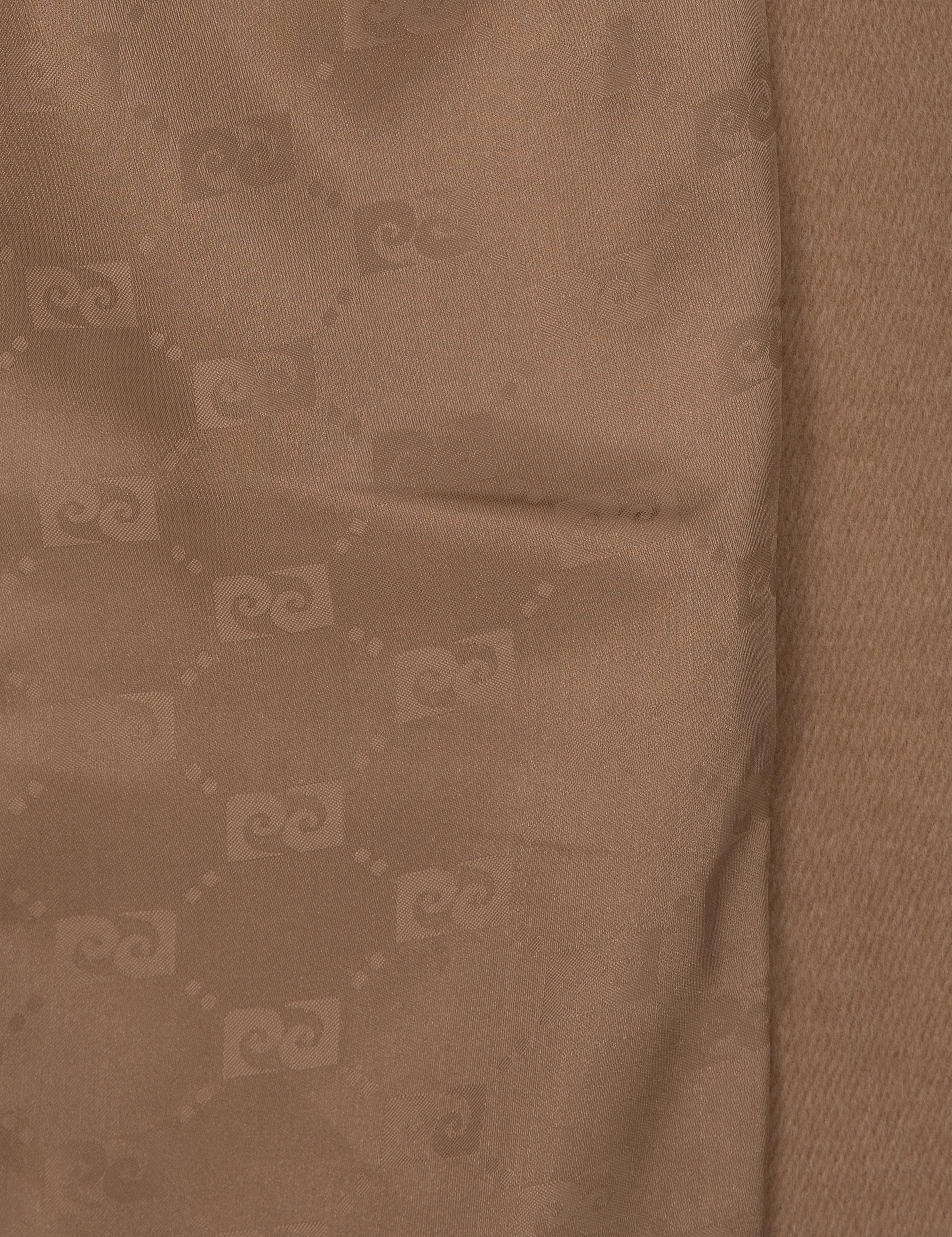 Camel Regular Fit Ceket