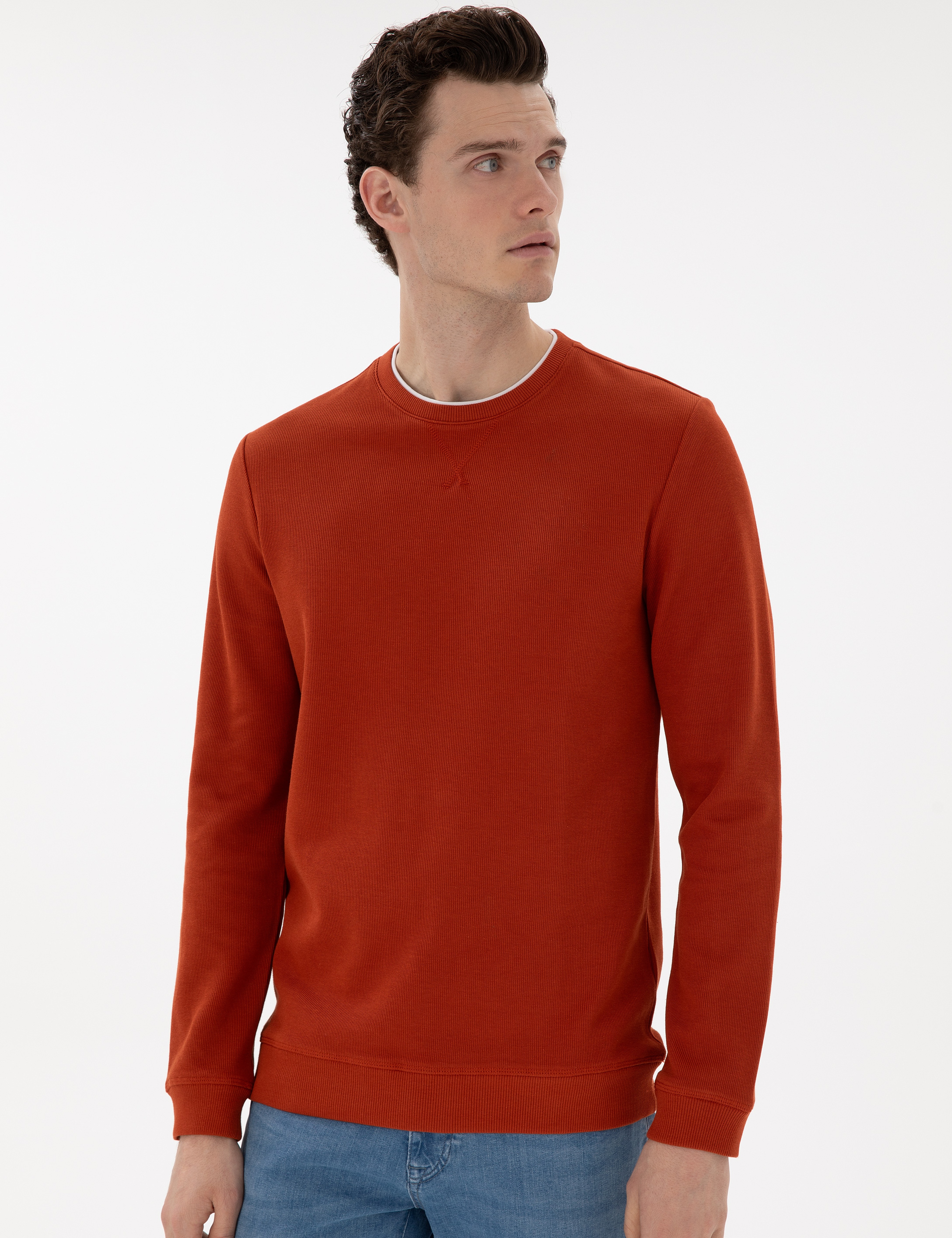 Kahverengi Regular Fit Sweatshirt - Image 3