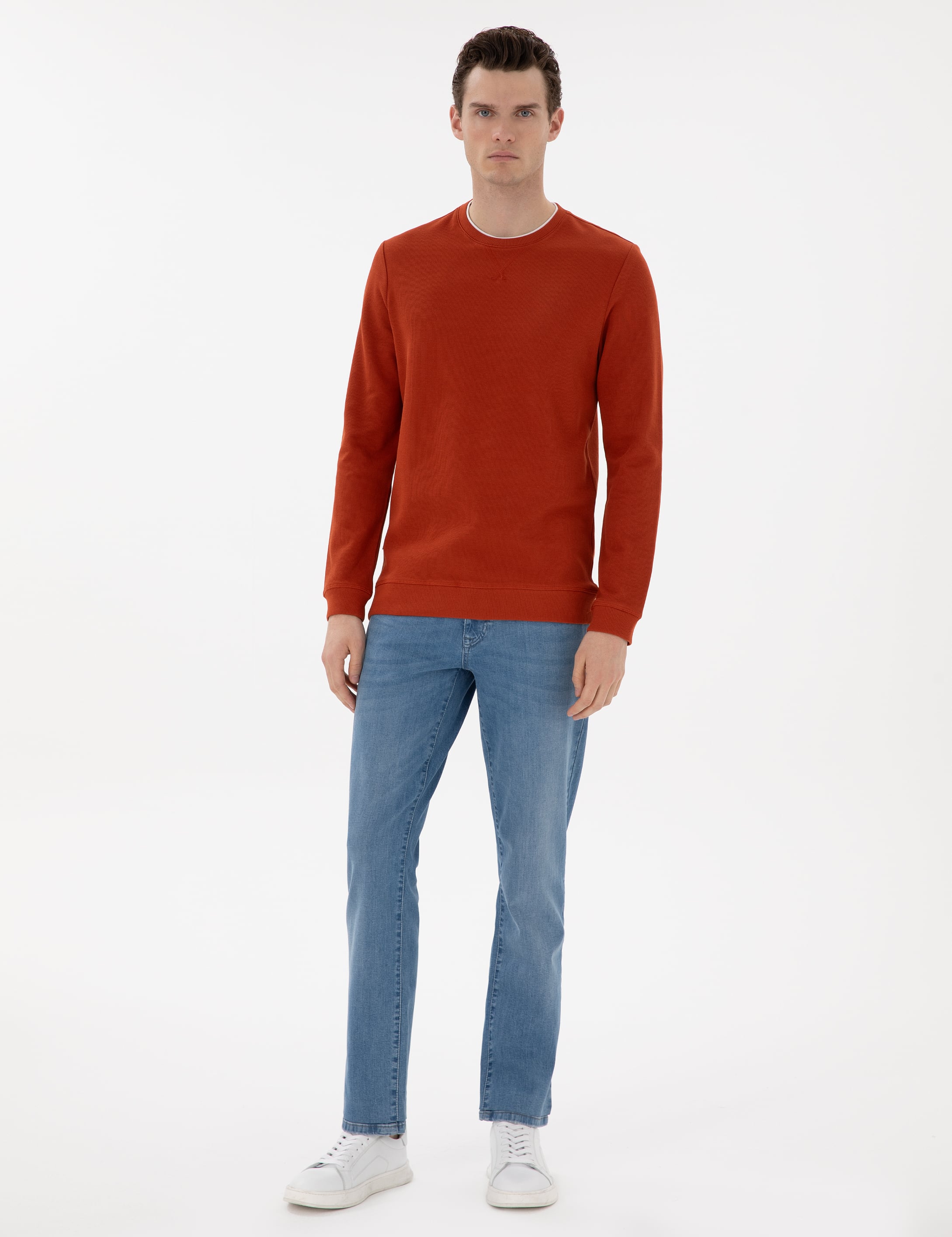 Kahverengi Regular Fit Sweatshirt - Image 4