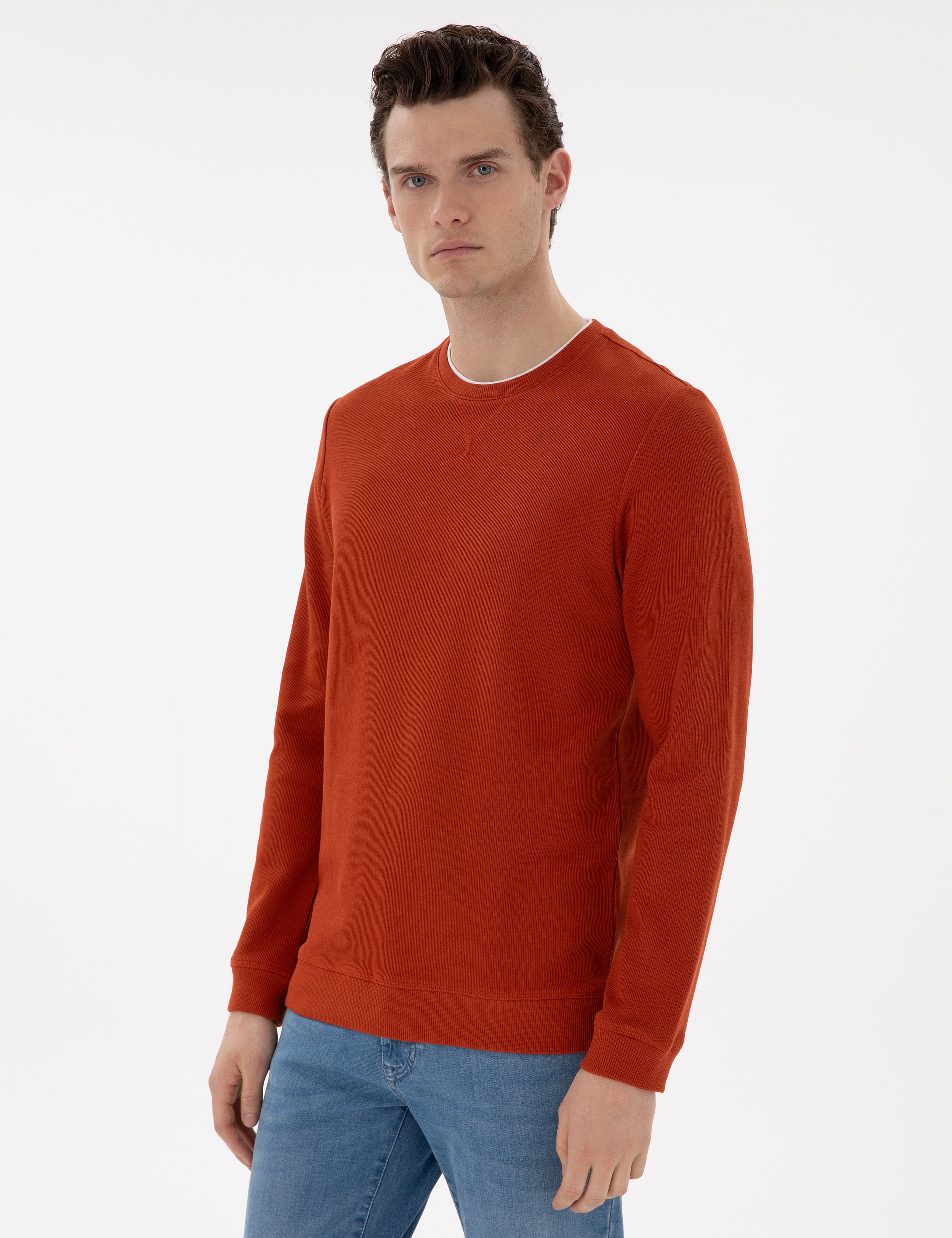 Kahverengi Regular Fit Sweatshirt - Image 1