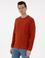 Kahverengi Regular Fit Sweatshirt