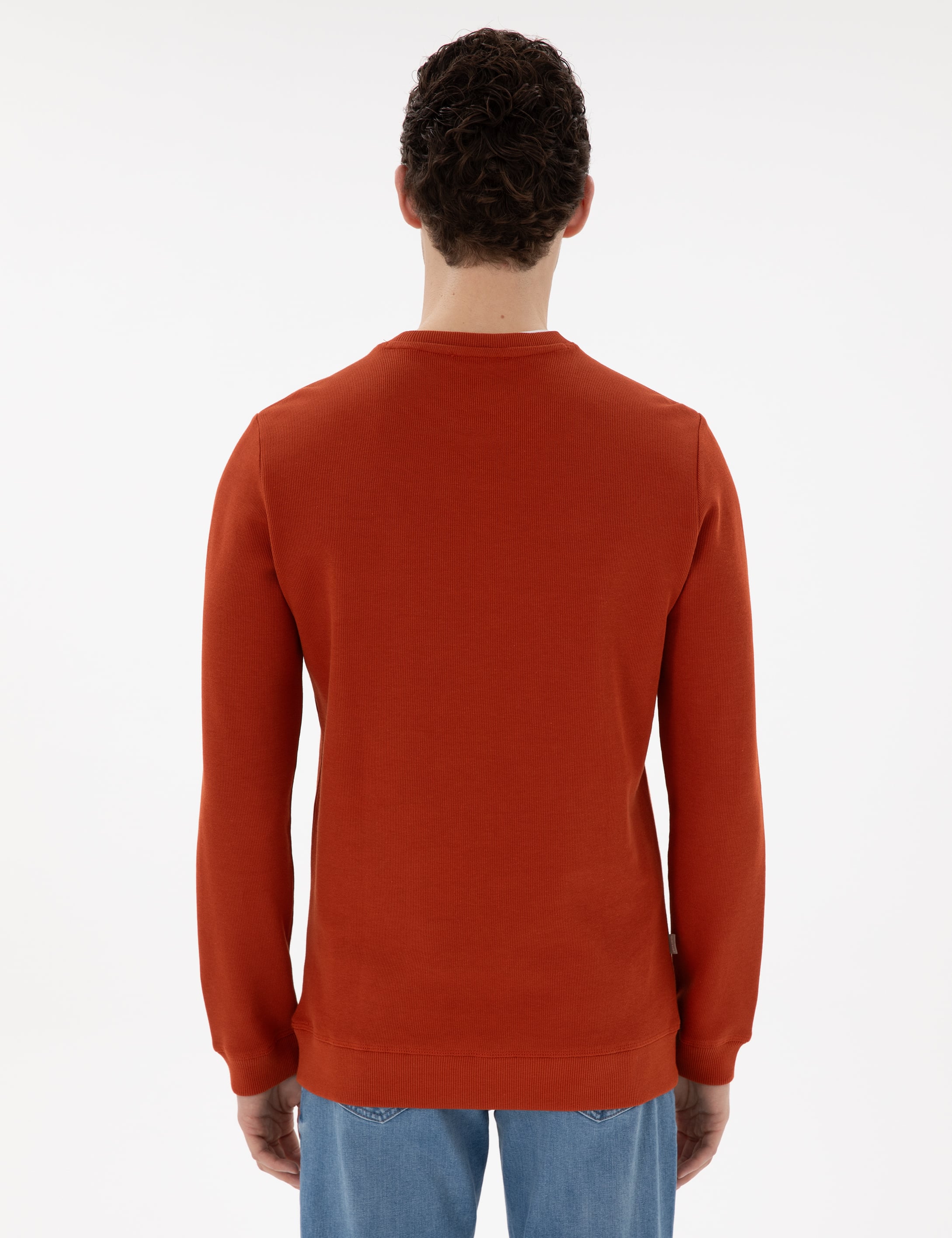 Kahverengi Regular Fit Sweatshirt - Image 5