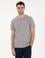 Gri %100 Pamuk Slim Fit Bisiklet Yaka Basic Tişört