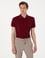 Bordo Slim Fit %100 Pamuk Polo Yaka Basic Tişört