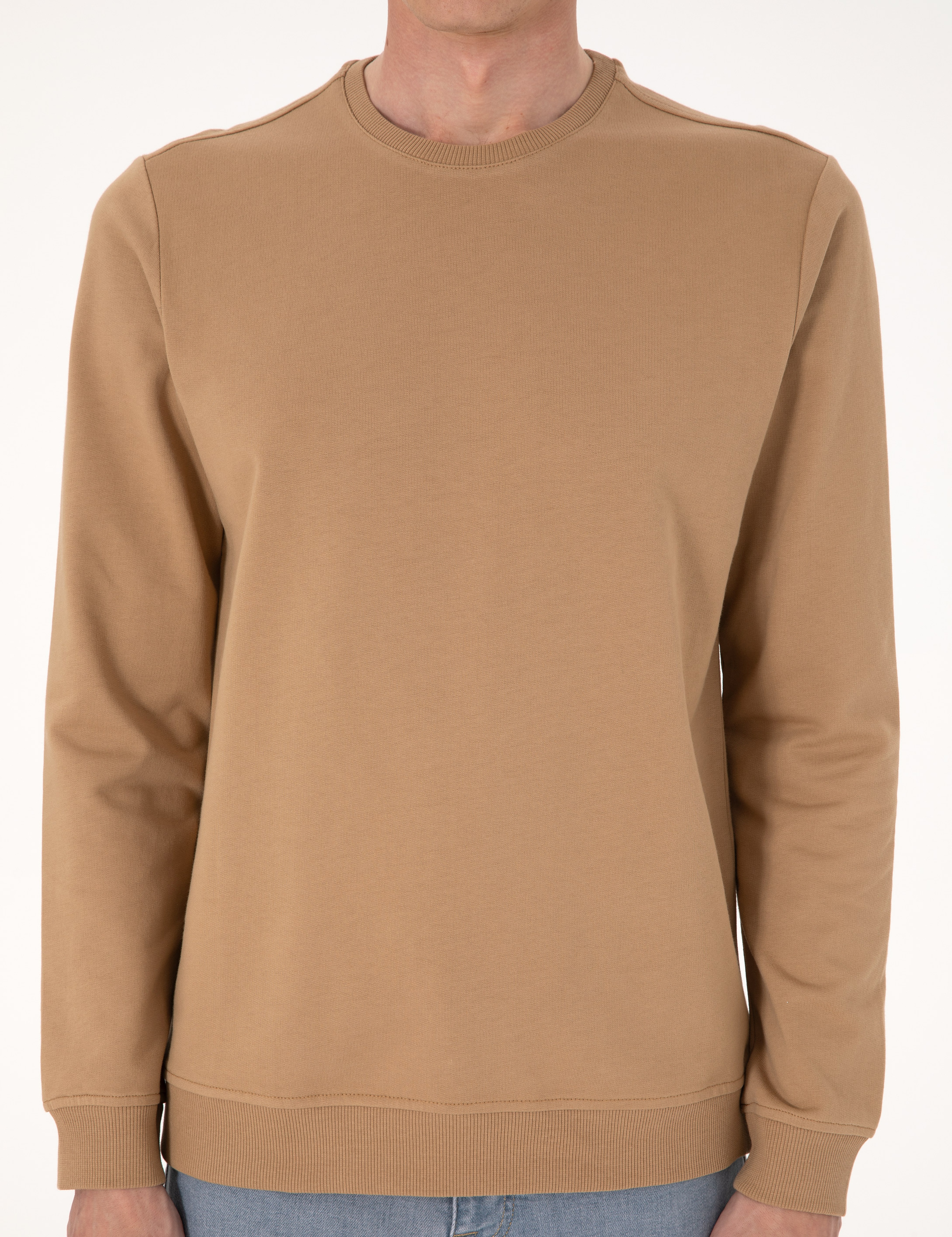 Açık Kahverengi 2 İplik Regular Fit Bisiklet Yaka Basic Sweatshirt - Image 6