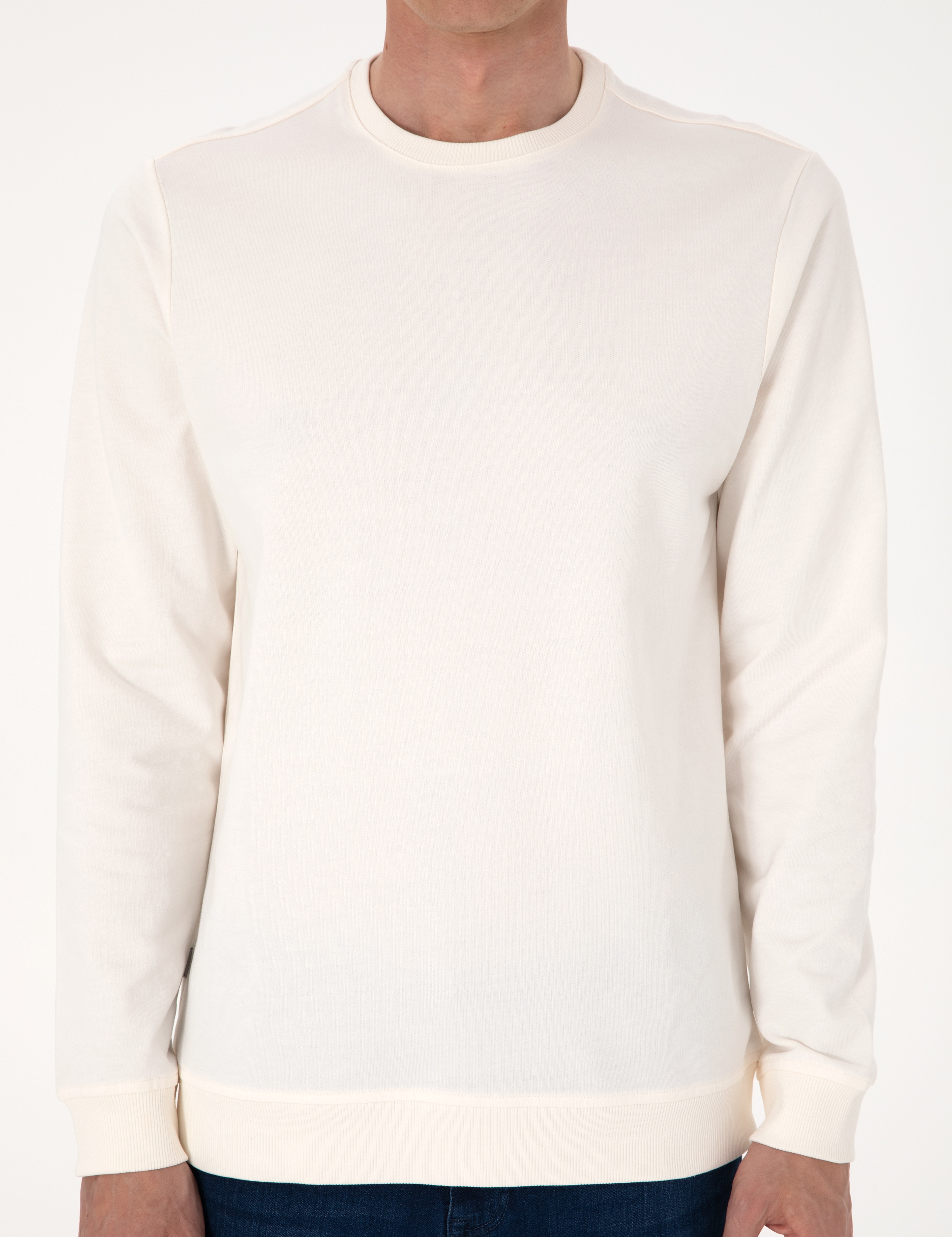 Ekru 2 İplik Regular Fit Bisiklet Yaka Basic Sweatshirt - Image 6