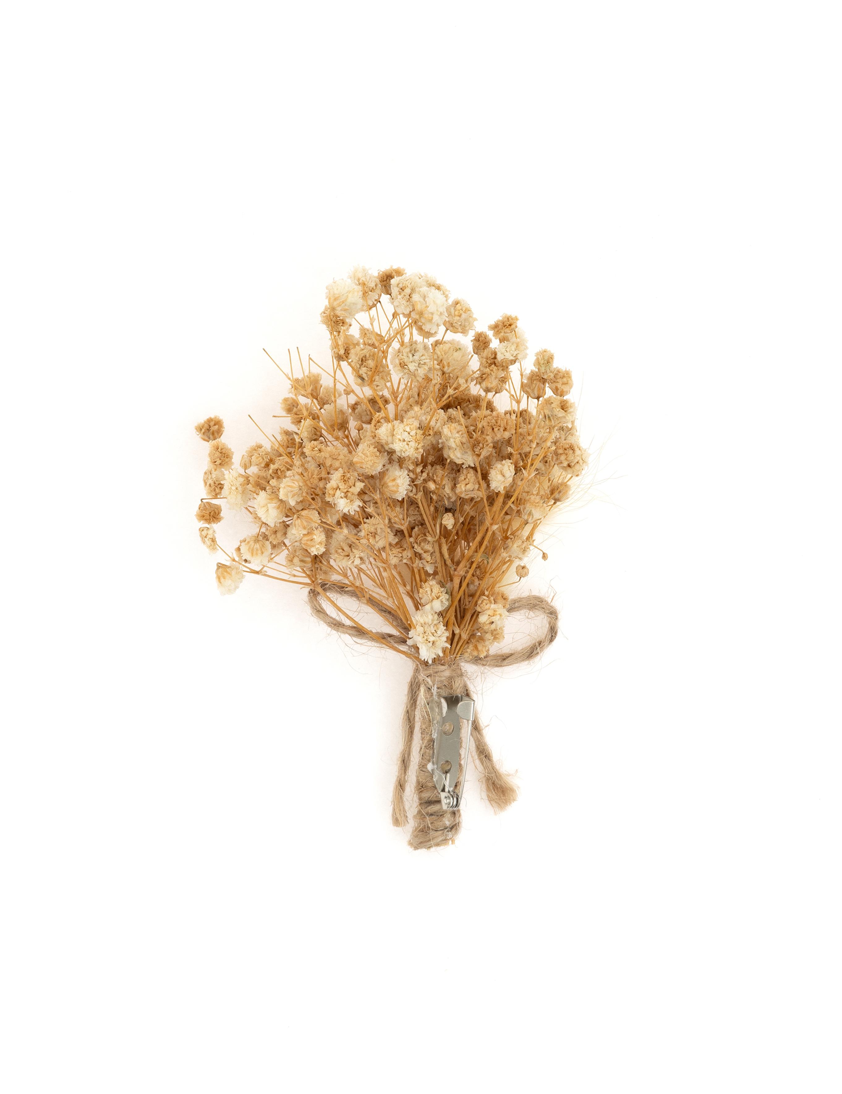 Beyaz Yaka Çiçeği