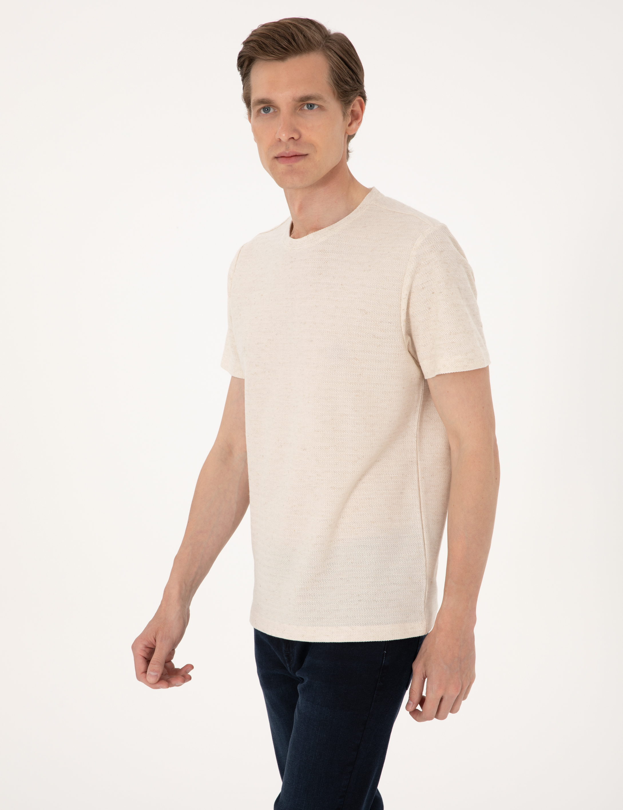 Bej Regular Fit Tişört - Image 3