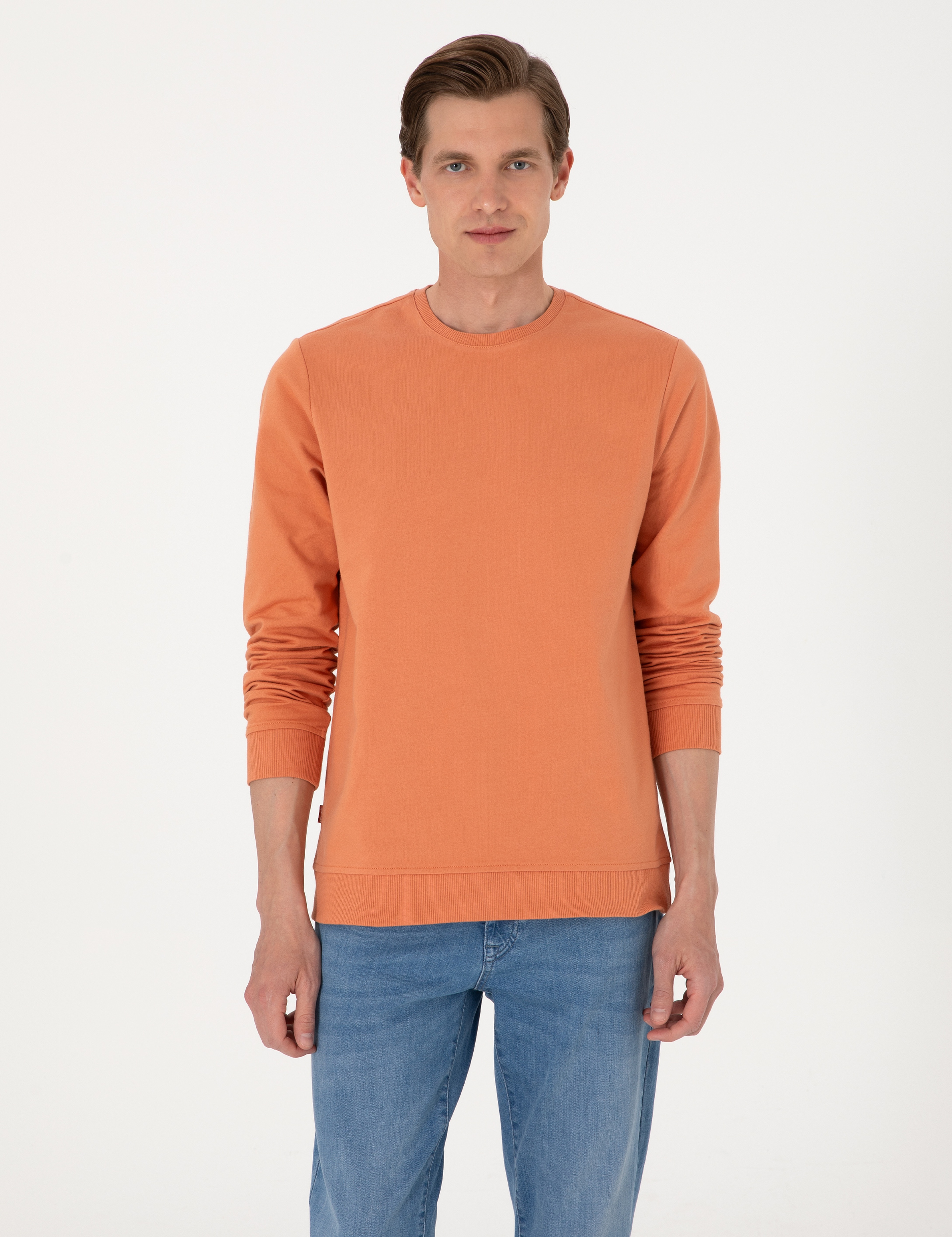 Somon 2 İplik Regular Fit Bisiklet Yaka Basic Sweatshirt - Image 3