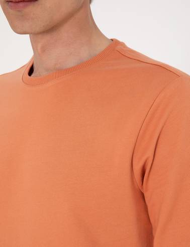 Somon 2 İplik Regular Fit Bisiklet Yaka Basic Sweatshirt