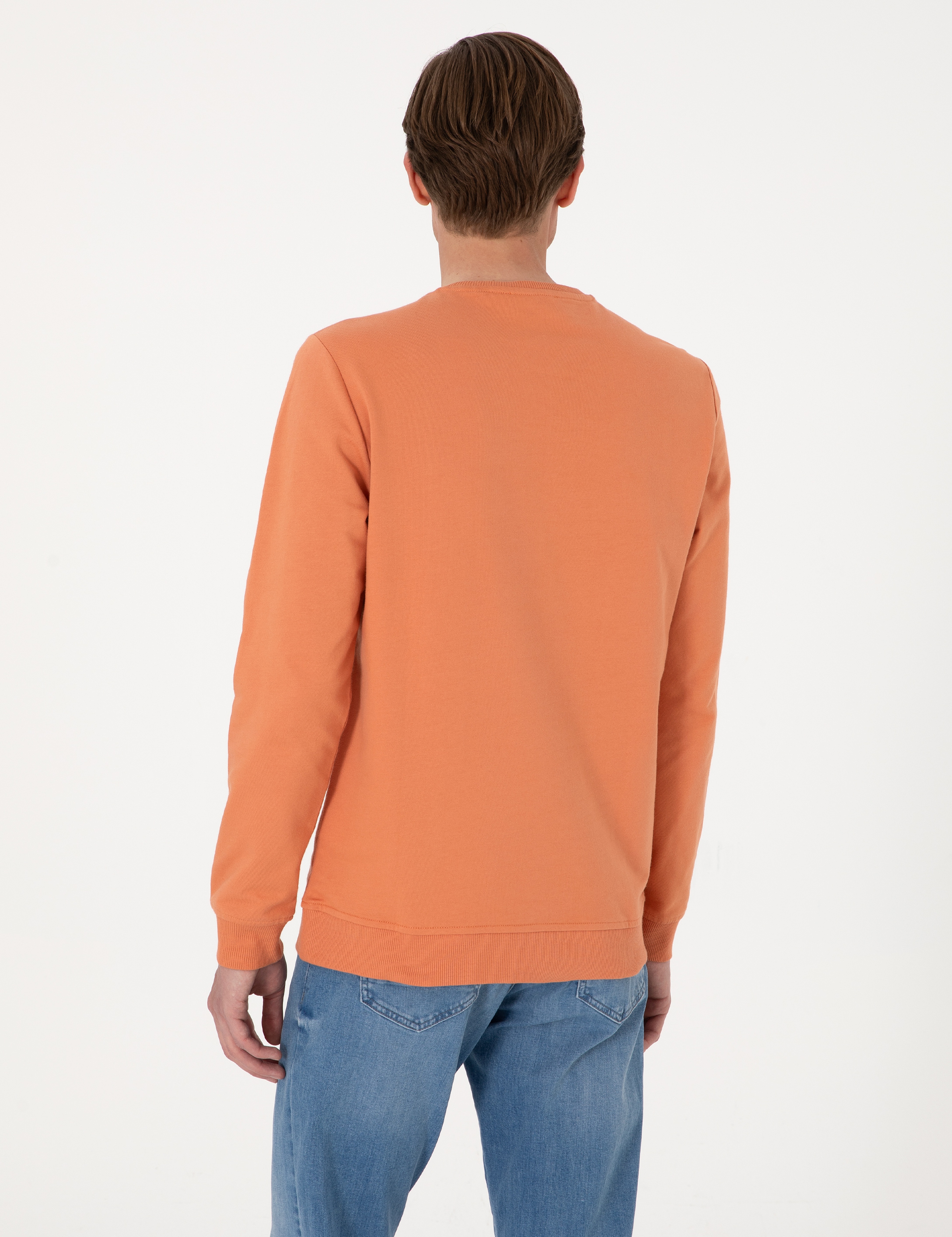 Somon 2 İplik Regular Fit Bisiklet Yaka Basic Sweatshirt