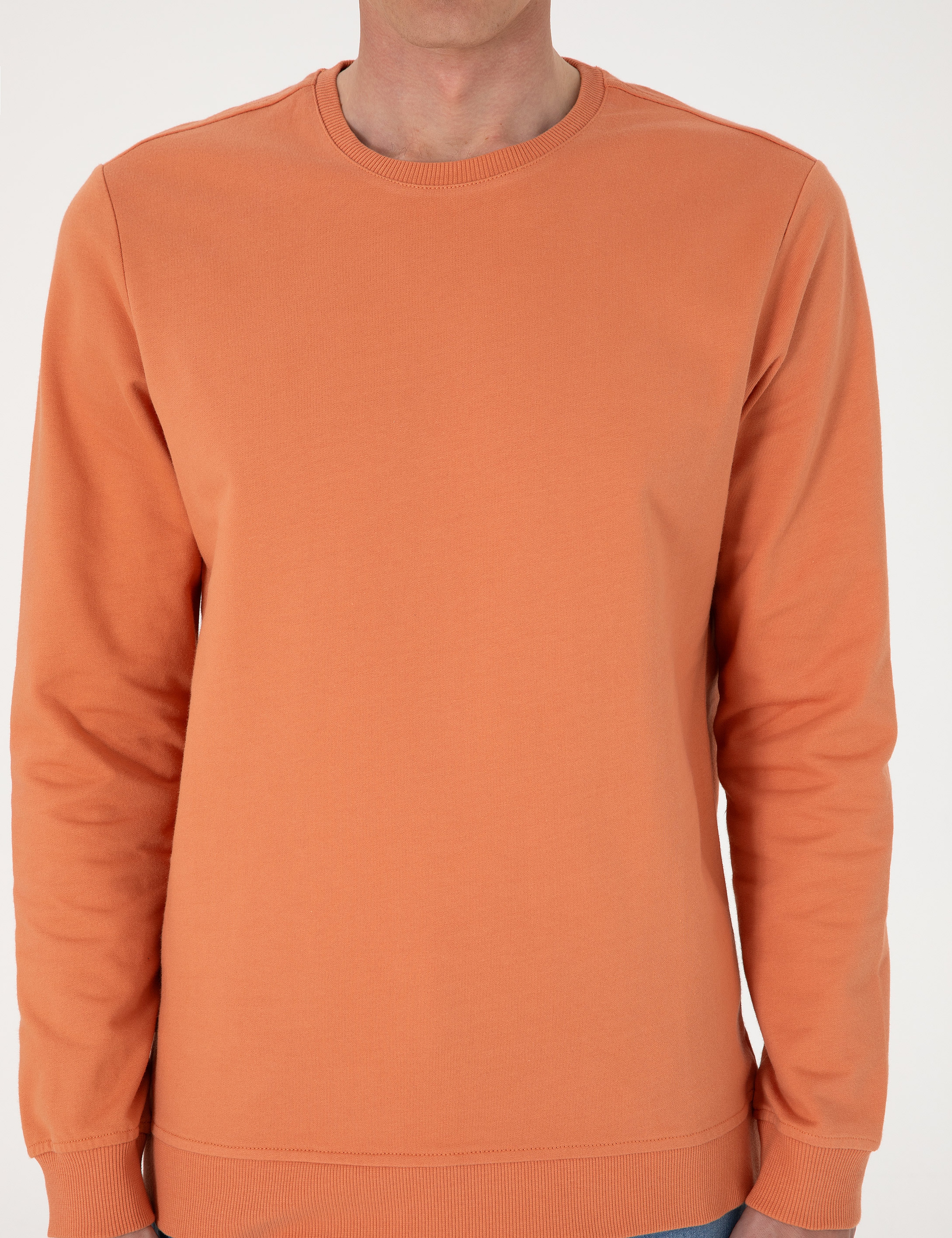 Somon 2 İplik Regular Fit Bisiklet Yaka Basic Sweatshirt - Image 6