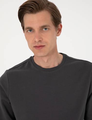 Antrasit 2 İplik Regular Fit Bisiklet Yaka Basic Sweatshirt