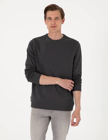 Antrasit 2 İplik Regular Fit Bisiklet Yaka Basic Sweatshirt