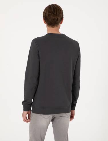 Antrasit 2 İplik Regular Fit Bisiklet Yaka Basic Sweatshirt