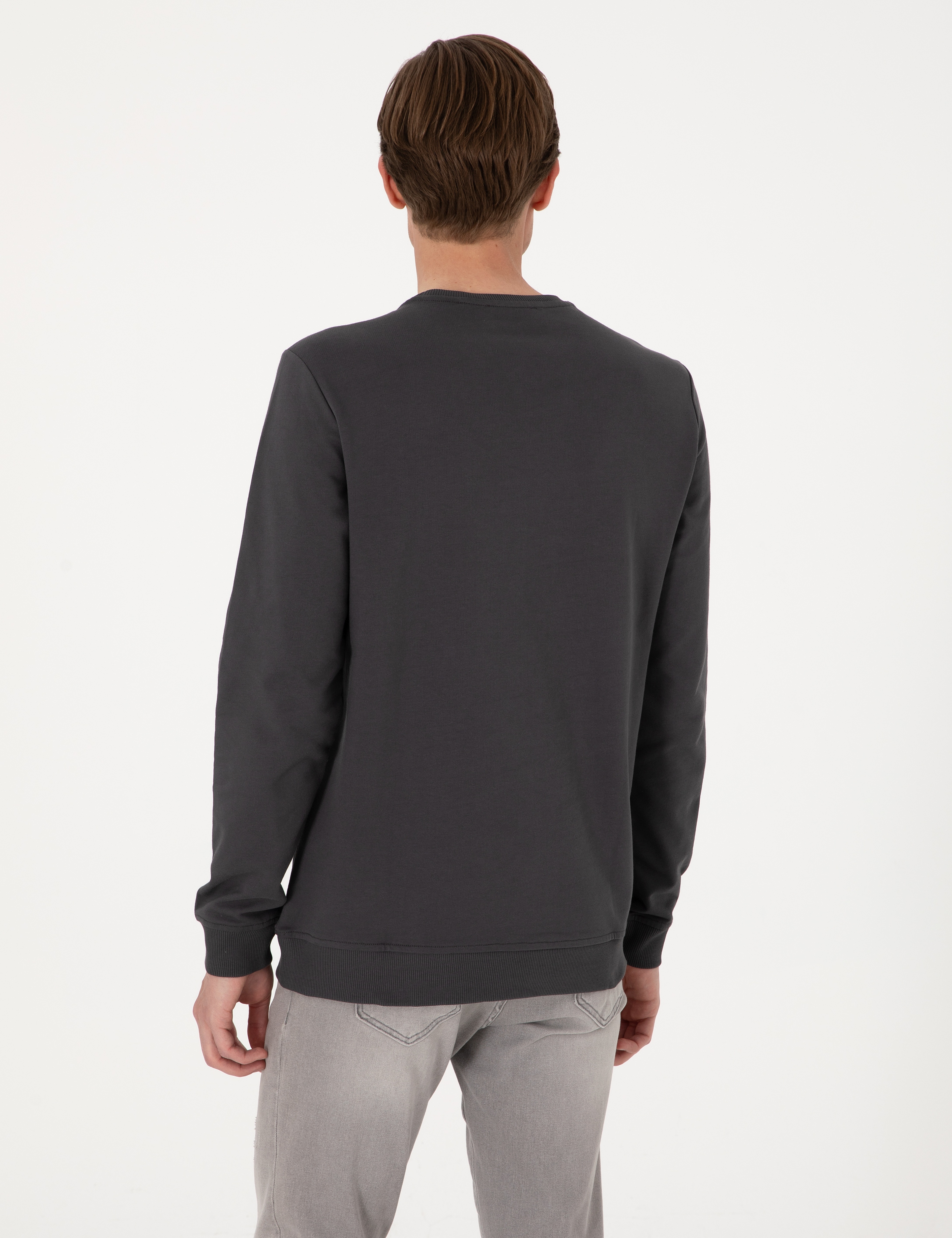 Antrasit 2 İplik Regular Fit Bisiklet Yaka Basic Sweatshirt