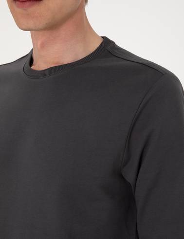 Antrasit 2 İplik Regular Fit Bisiklet Yaka Basic Sweatshirt