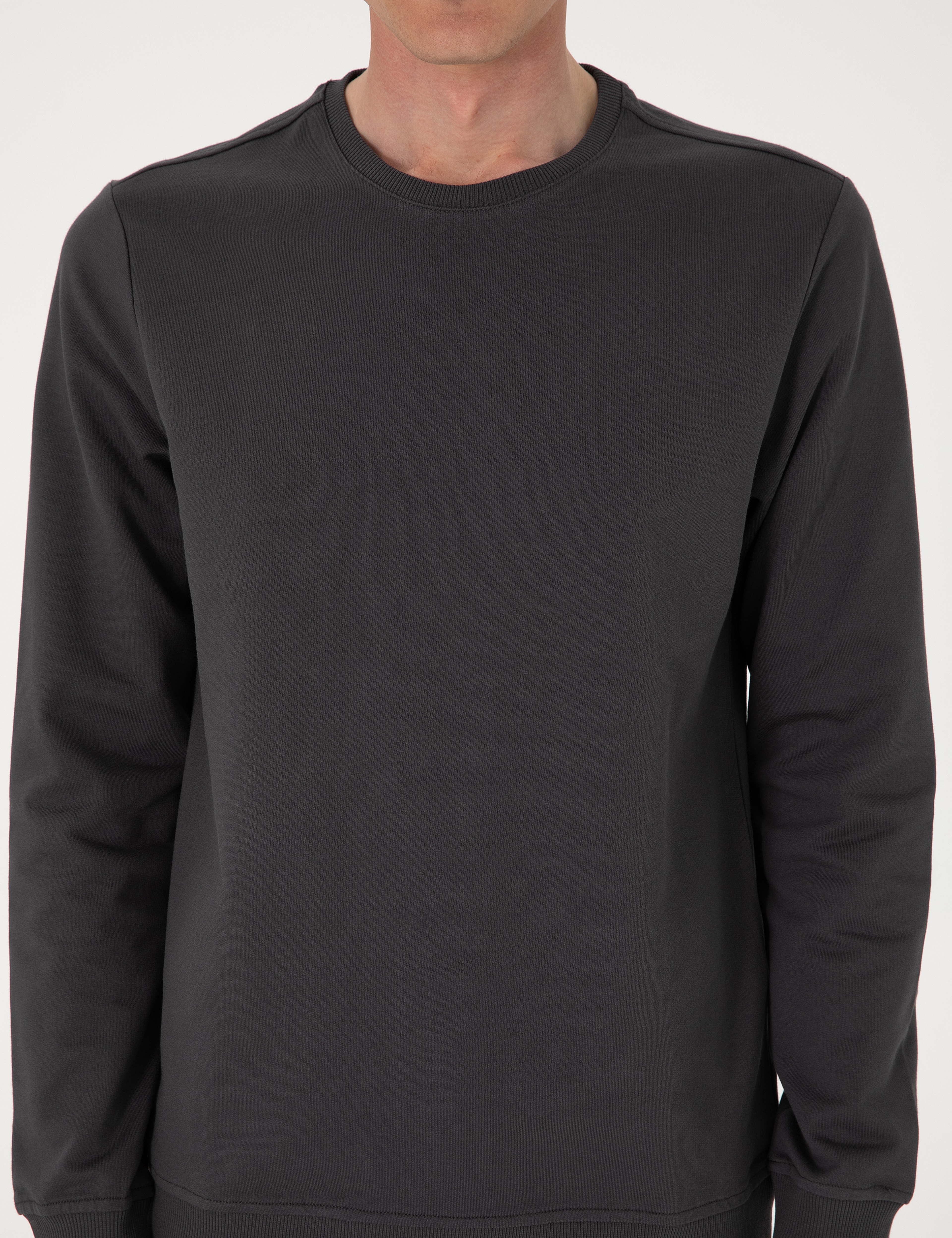 Antrasit 2 İplik Regular Fit Bisiklet Yaka Basic Sweatshirt - Image 6