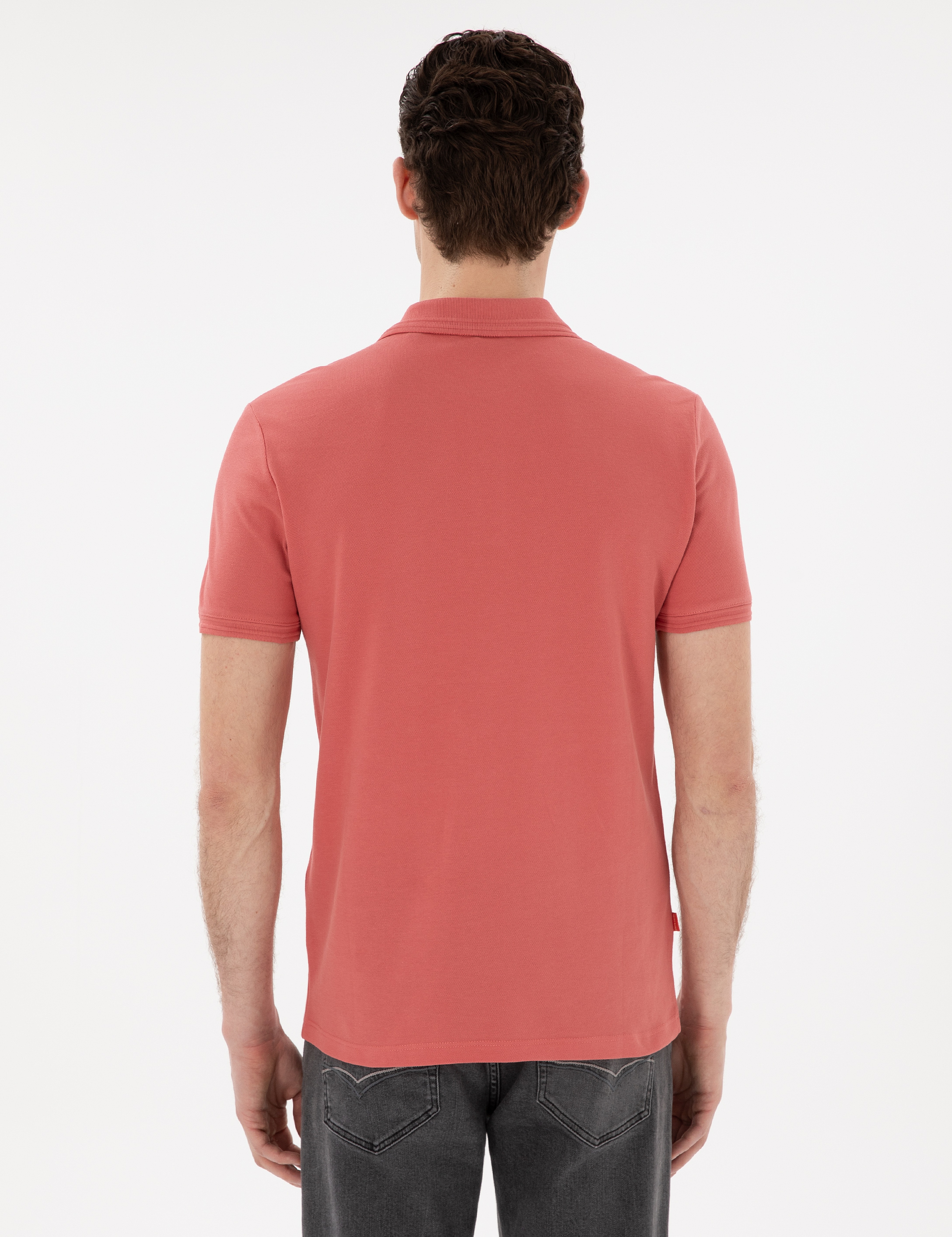 Mercan Slim Fit %100 Pamuk Polo Yaka Basic Tişört - Image 5