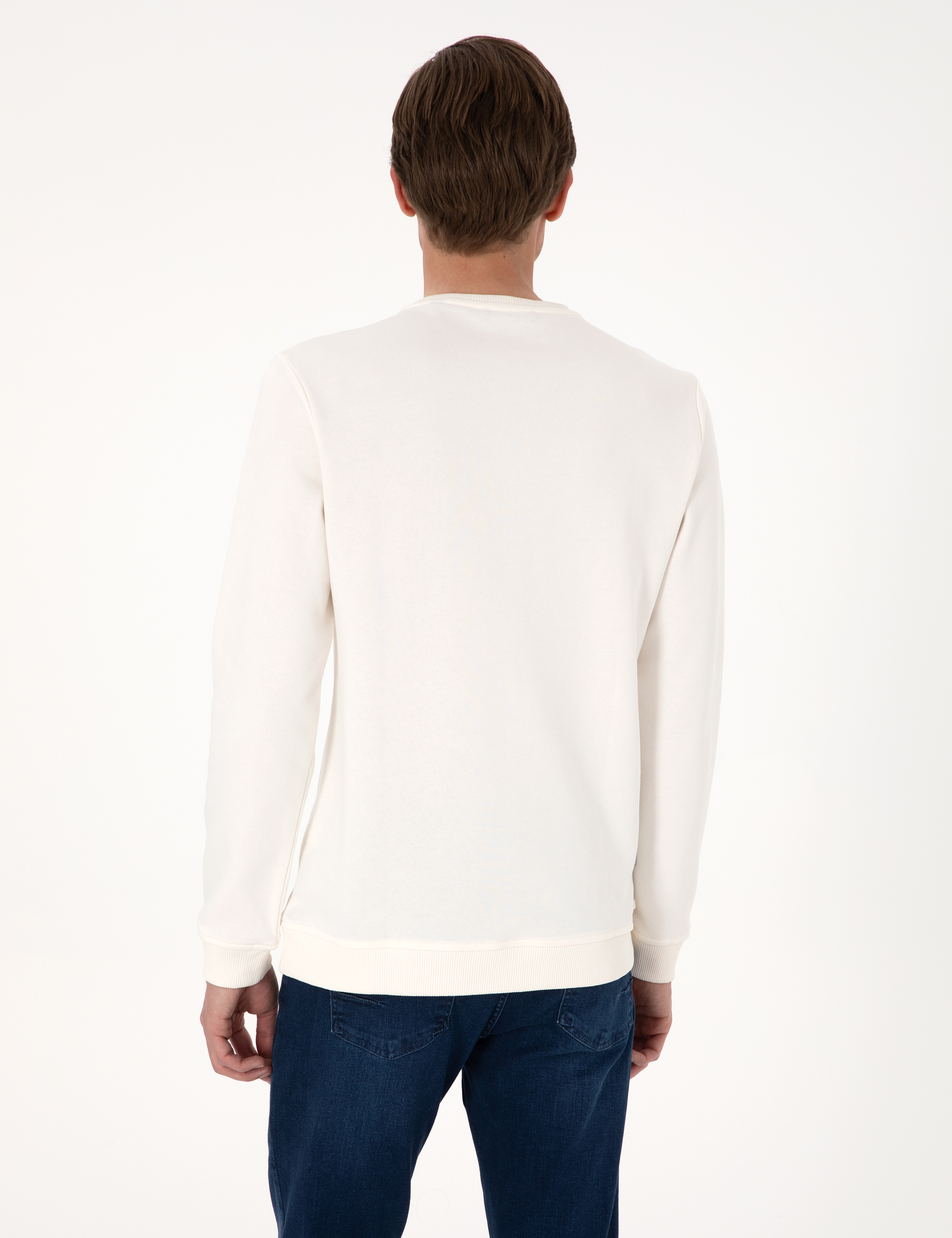 Ekru 3 İplik Regular Fit Bisiklet Yaka Basic Sweatshirt - Image 5