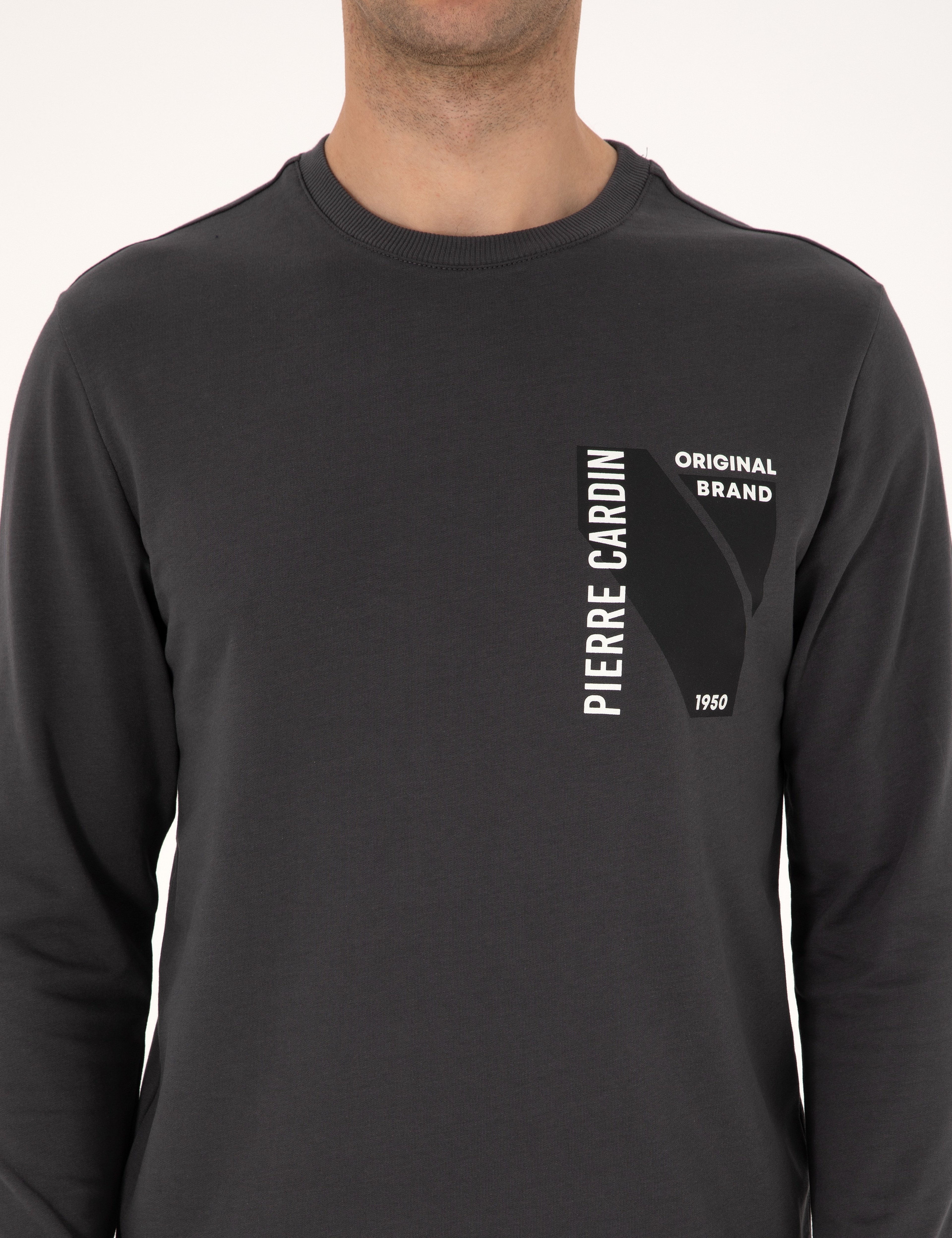 Antrasit Regular Fit Bisiklet Yaka Sweatshirt