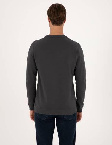 Antrasit Regular Fit Bisiklet Yaka Sweatshirt