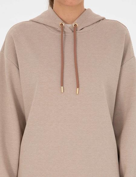 Camel Comfort Fit Sweatshirt - 50309135005