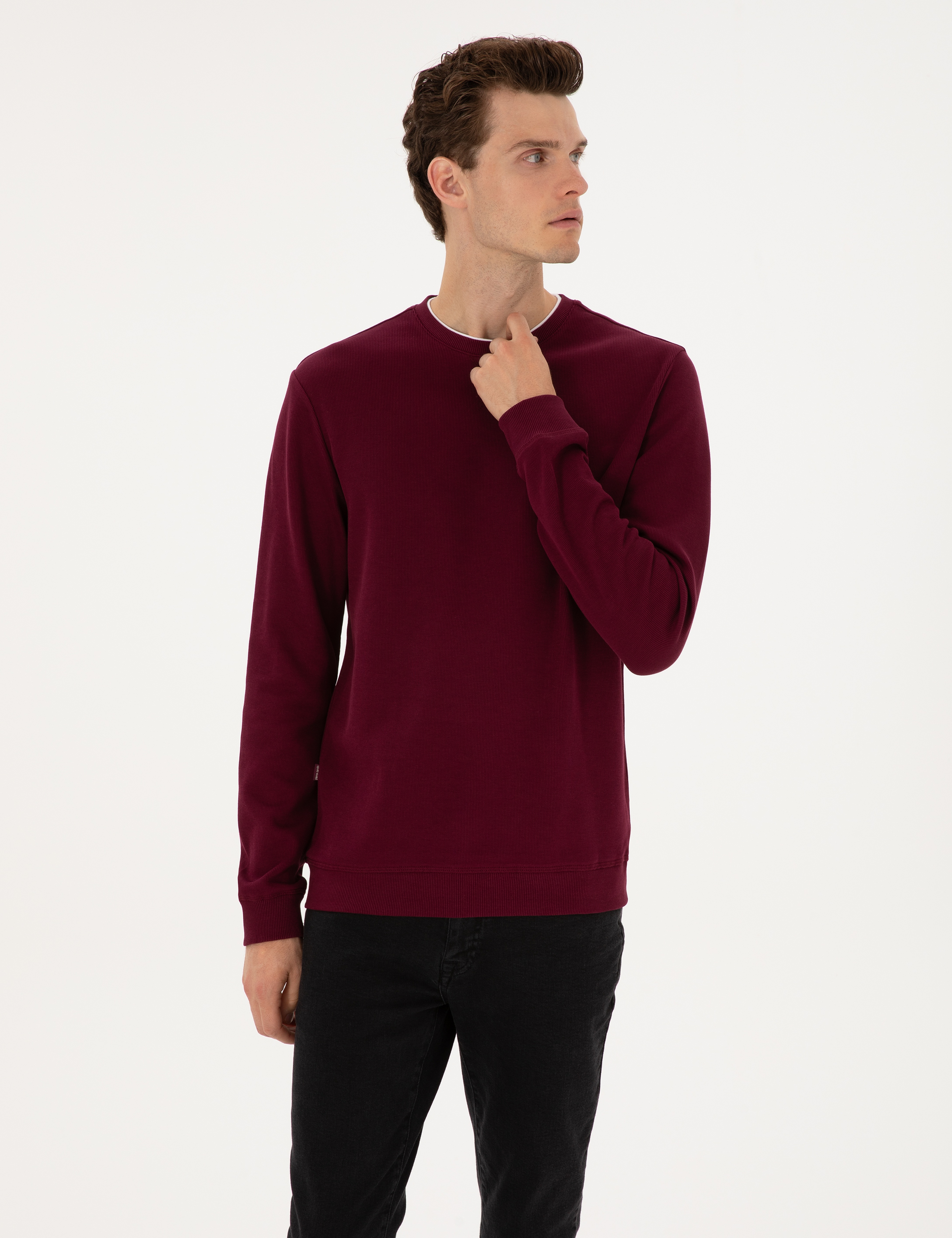 Bordo Regular Fit Sweatshirt - Image 3