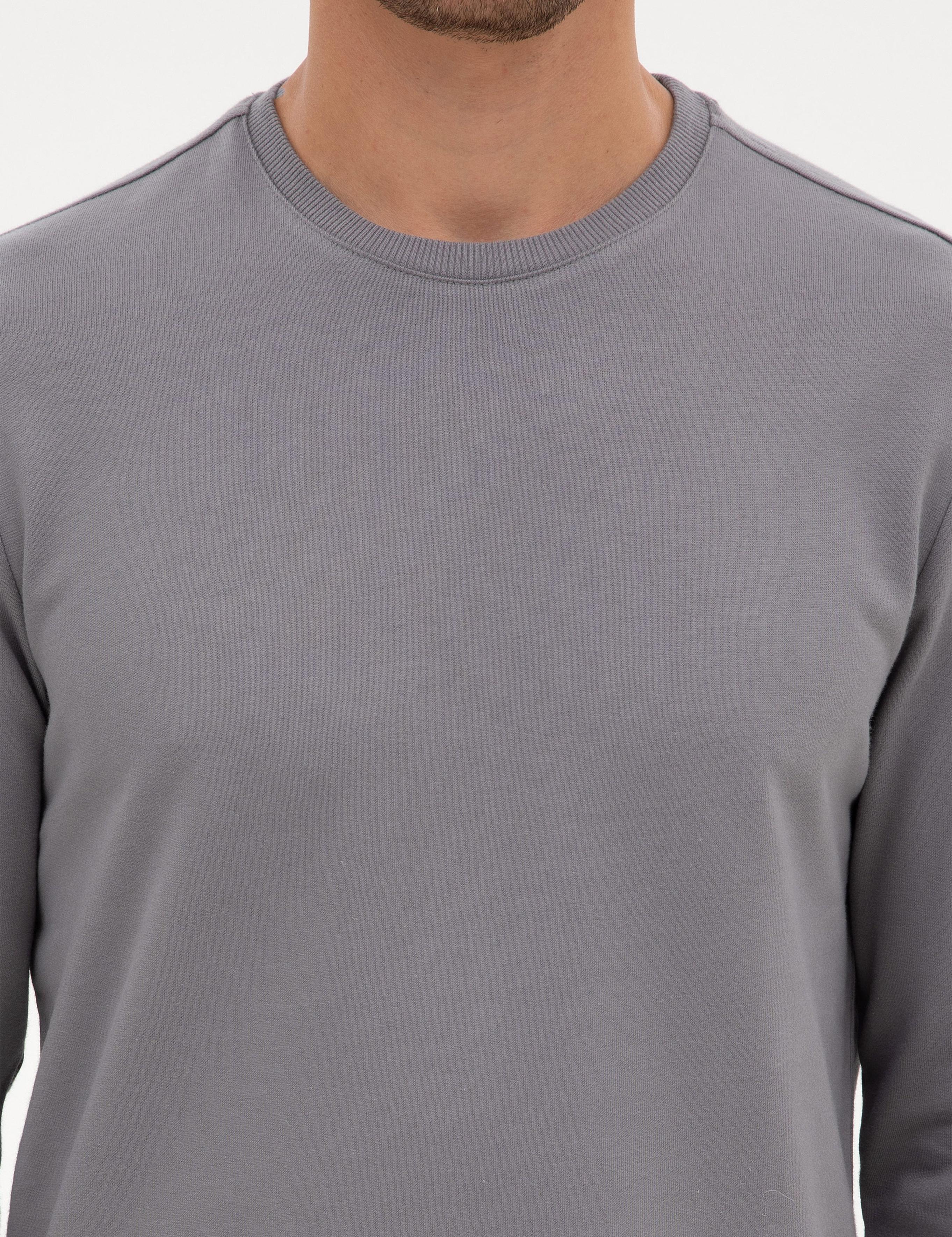 Gri 2 İplik Regular Fit Bisiklet Yaka Basic Sweatshirt