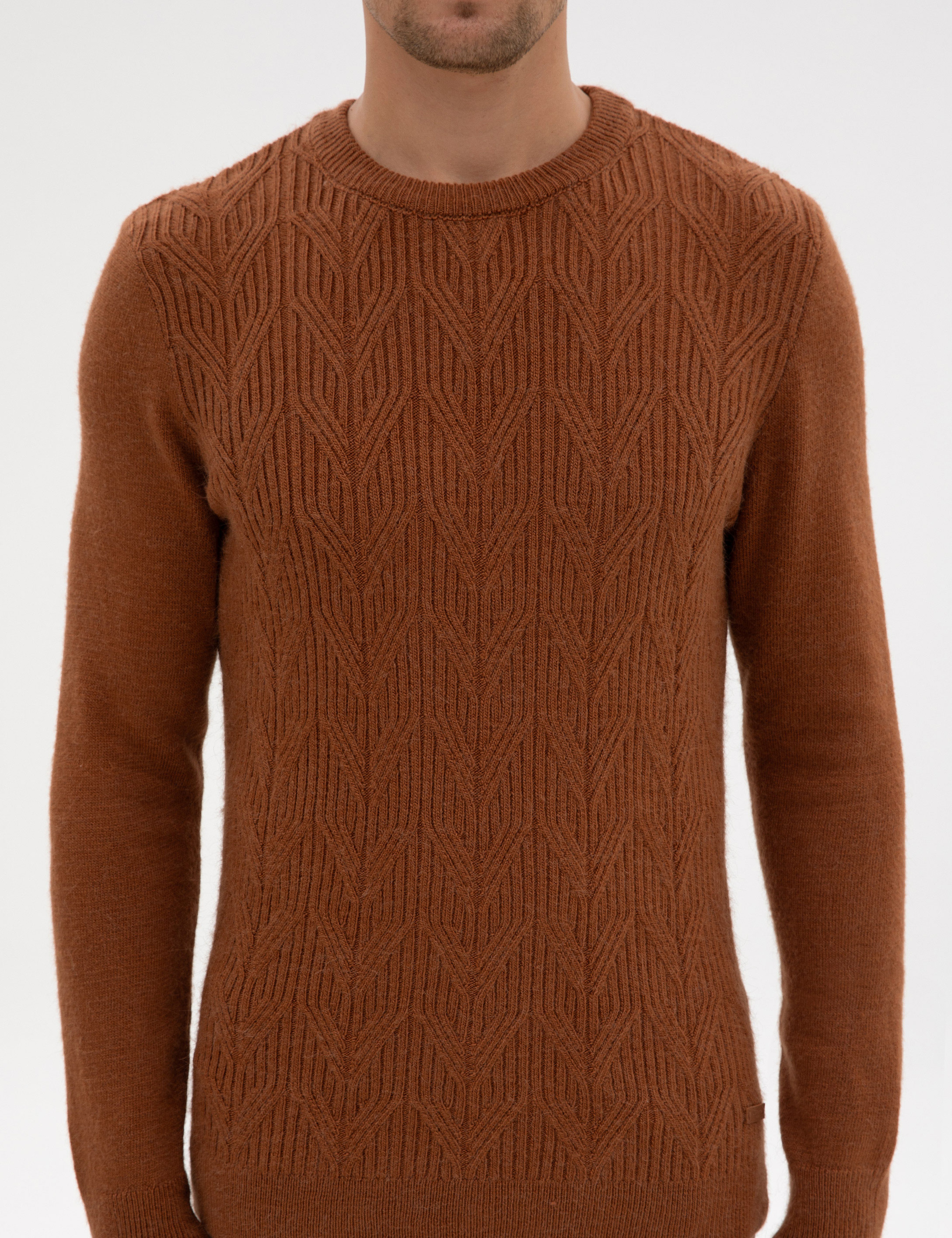 Kahverengi Regular Fit Bisiklet Yaka Triko Kazak - Image 6