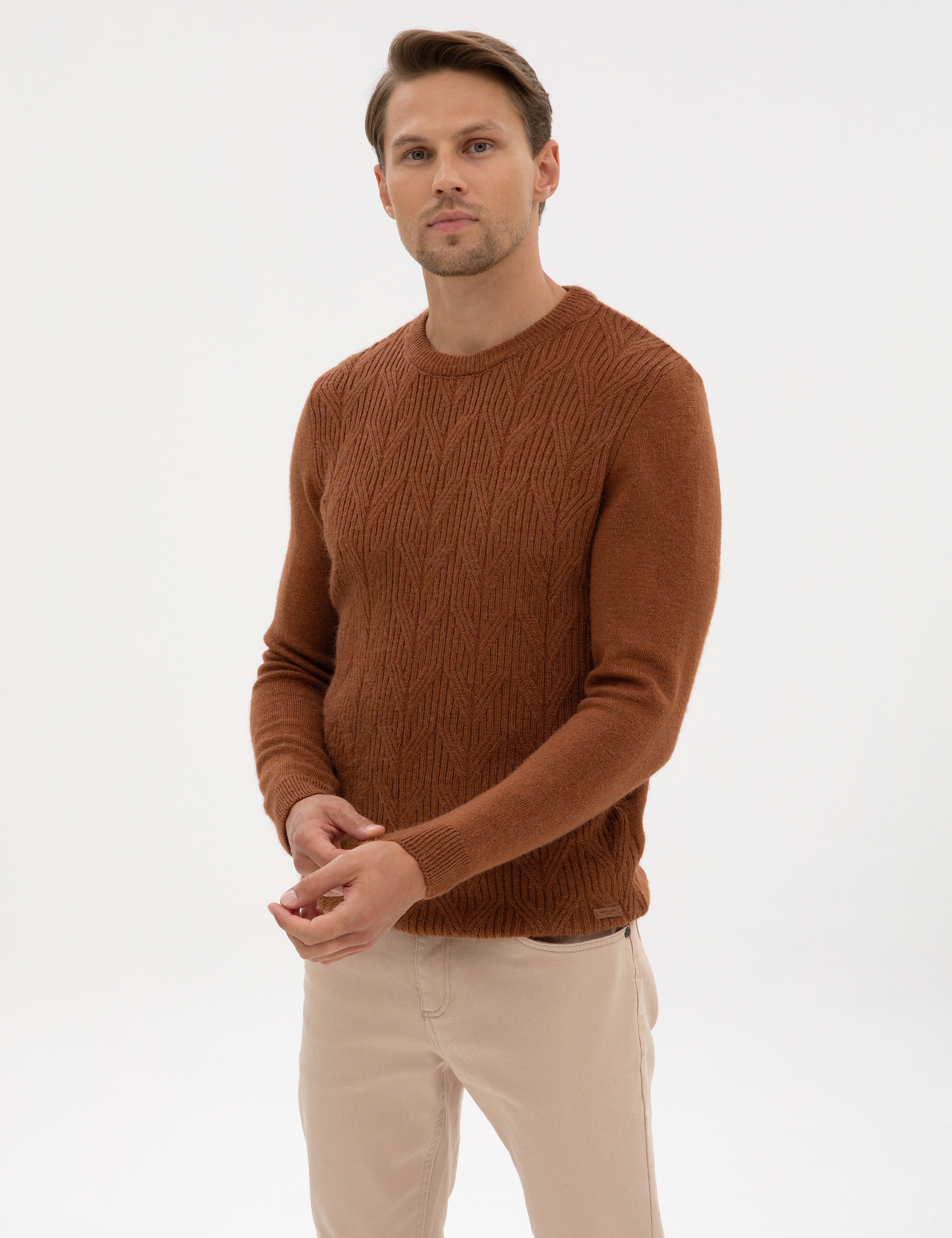 Kahverengi Regular Fit Bisiklet Yaka Triko Kazak - Image 3