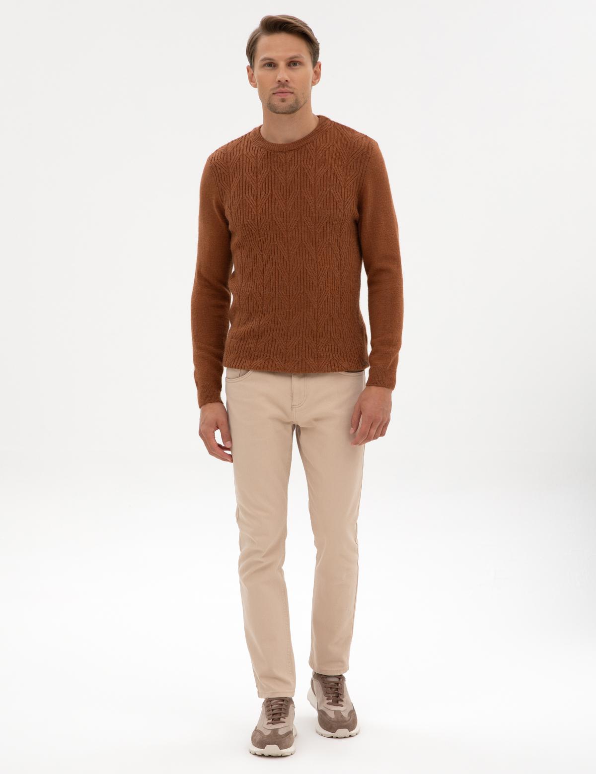 Kahverengi Regular Fit Bisiklet Yaka Triko Kazak - 50315721001