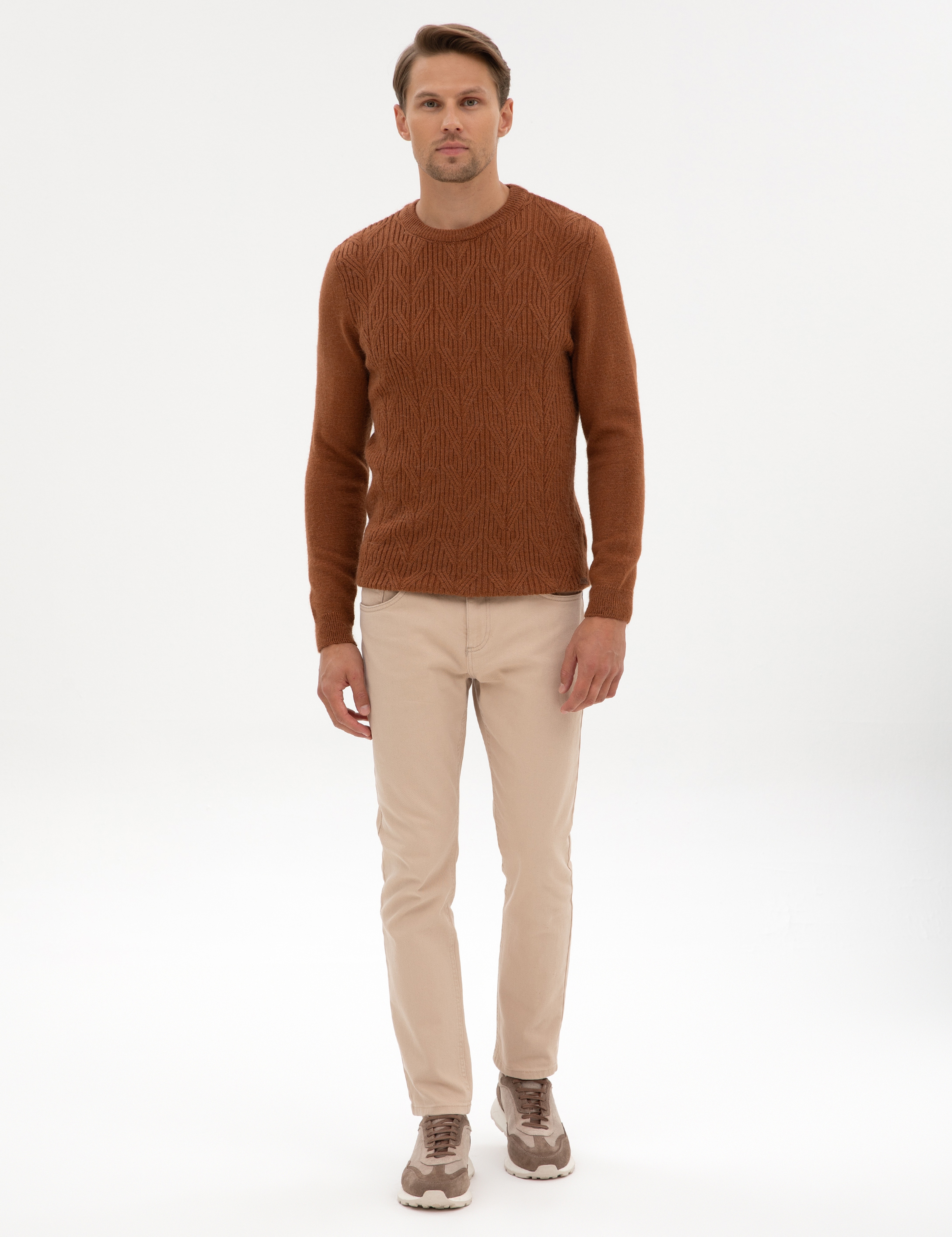 Kahverengi Regular Fit Bisiklet Yaka Triko Kazak - Image 4