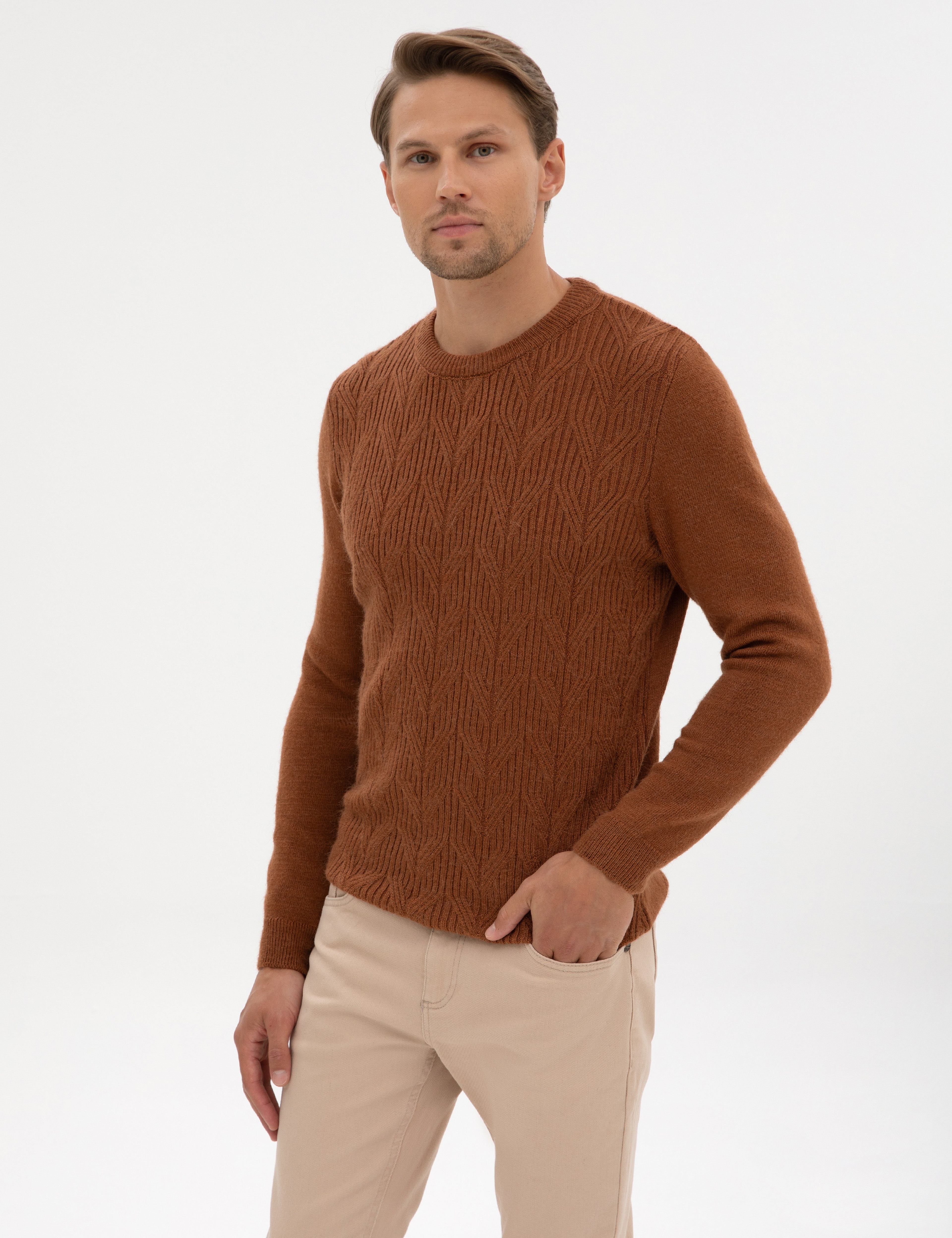 Kahverengi Regular Fit Bisiklet Yaka Triko Kazak - Image 1