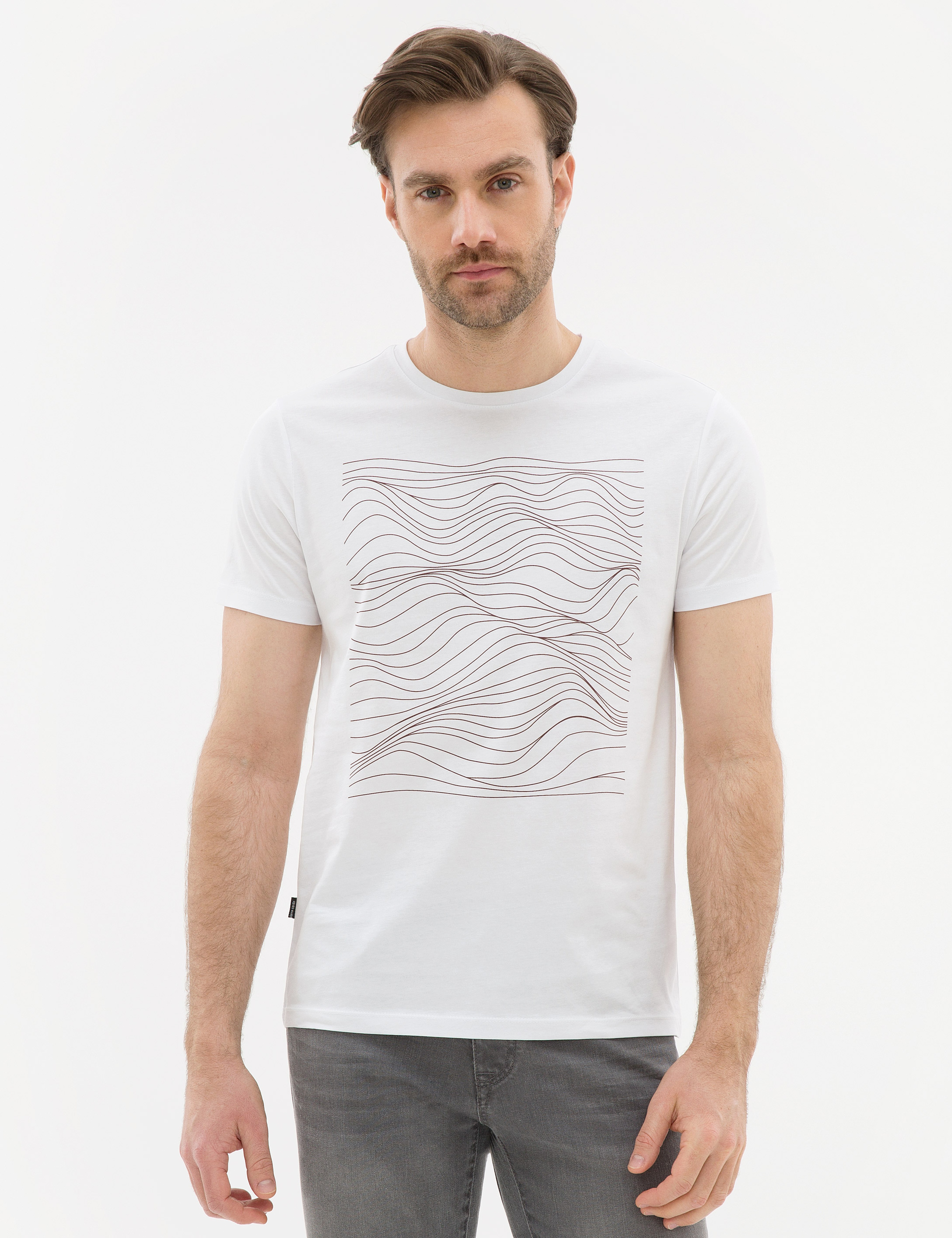 Kahverengi Çizgili Regular Fit Bisiklet Yaka T-Shirt - Image 2