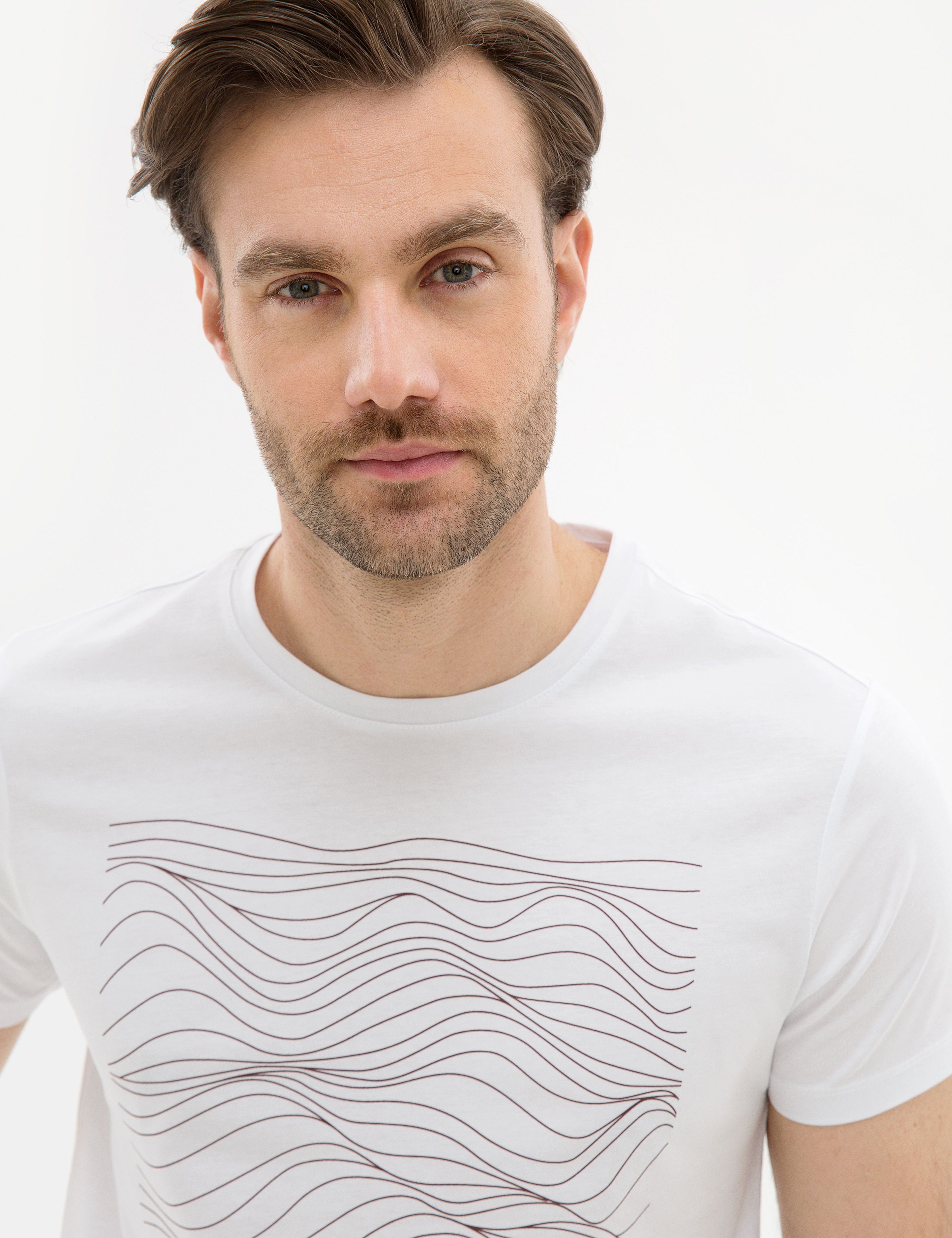 Kahverengi Çizgili Regular Fit Bisiklet Yaka T-Shirt - Image 1