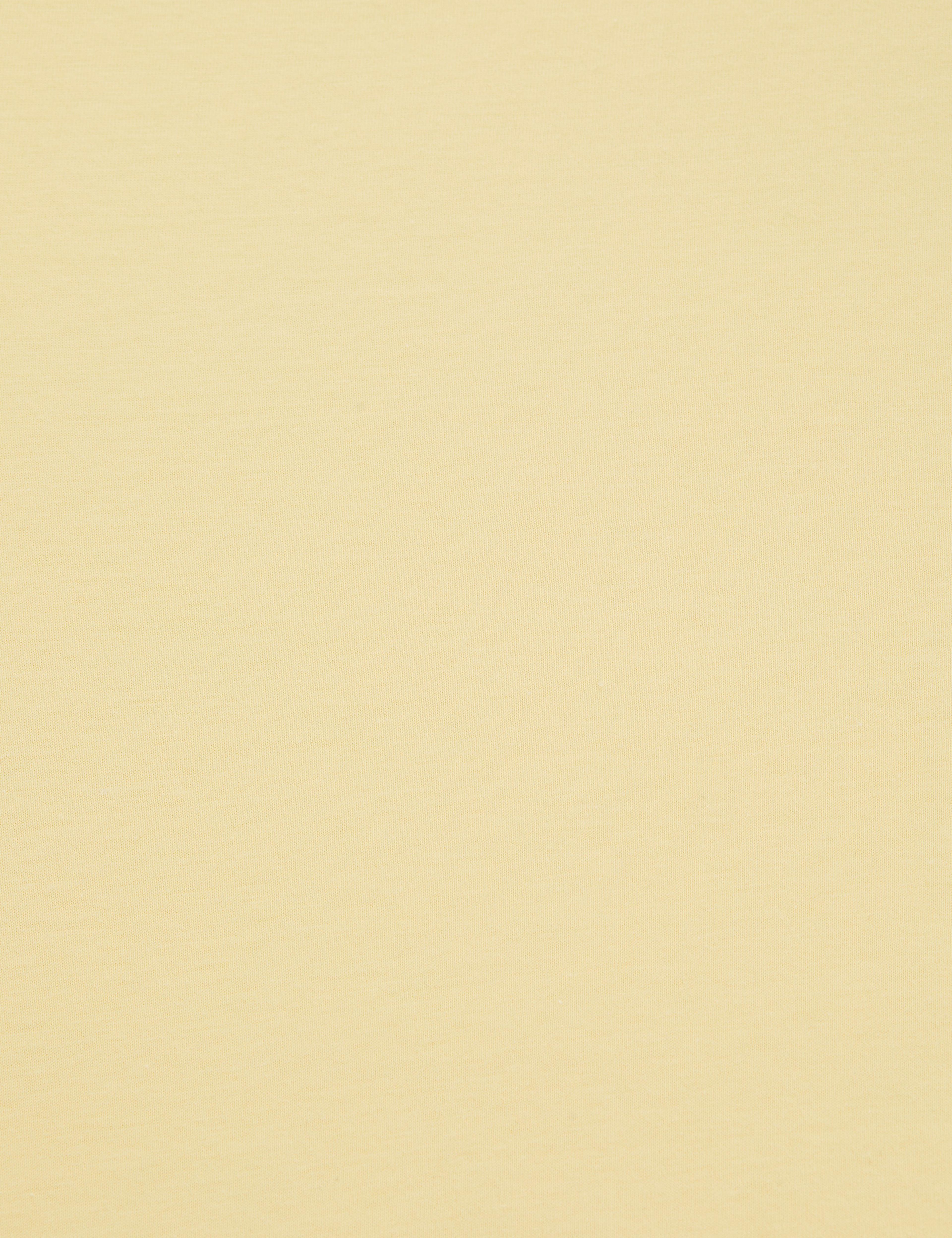 Limon Regular Fit V Yaka Basic Tişört - Image 7