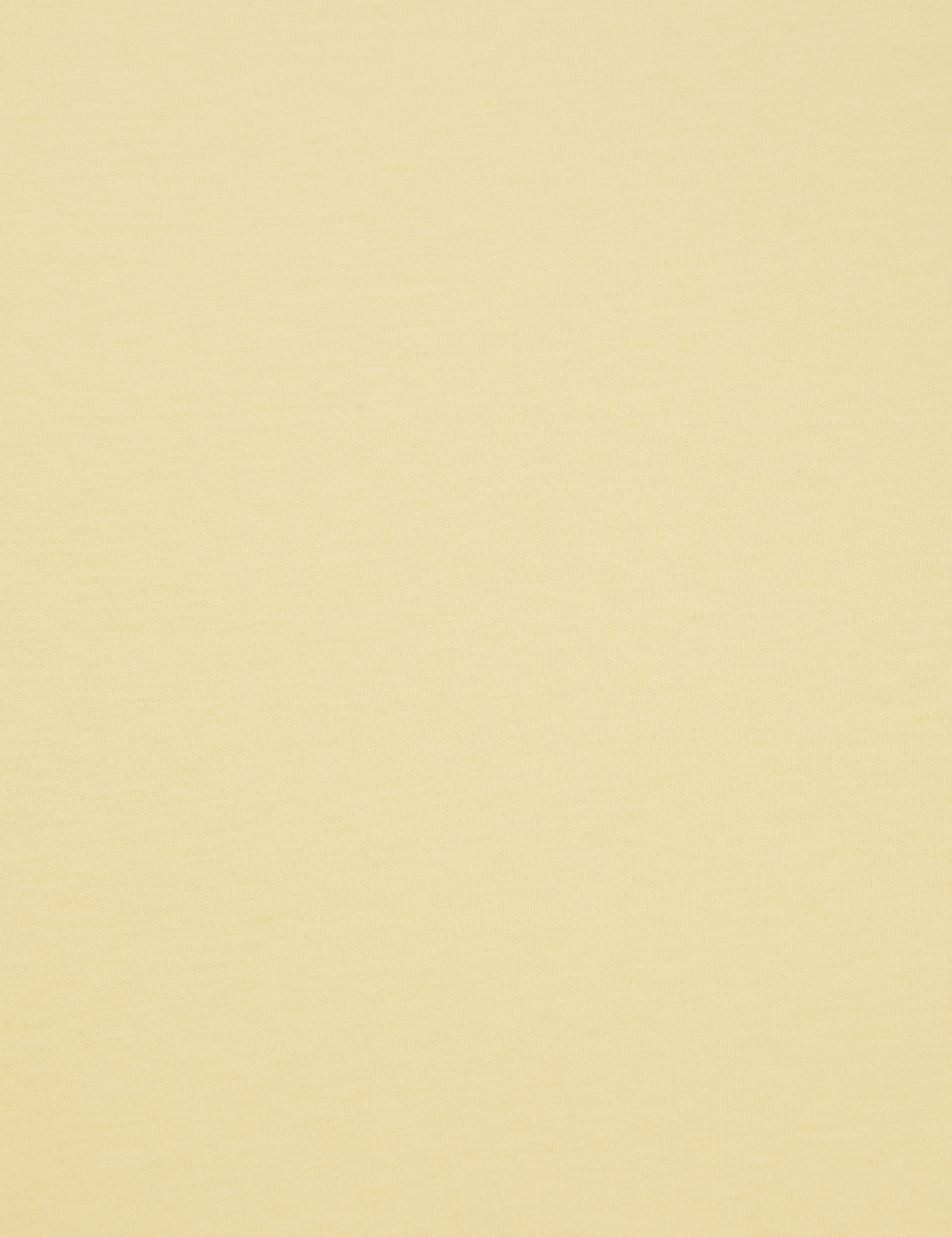 Limon Regular Fit V Yaka Basic Tişört