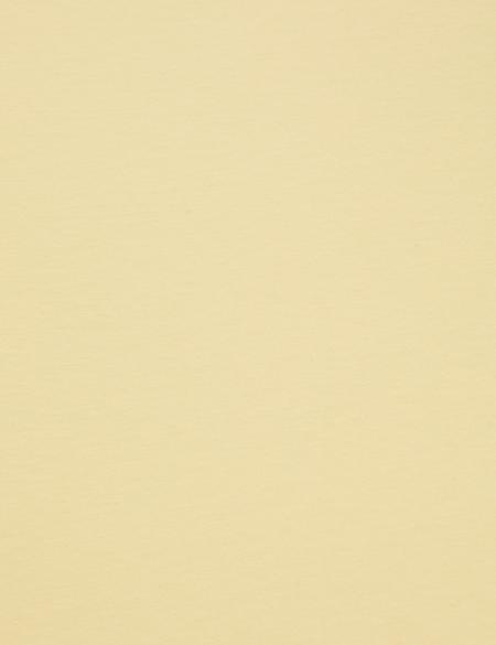 Limon Oversize Tişört - 50323569033