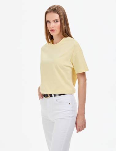 Limon Regular Fit V Yaka Basic Tişört