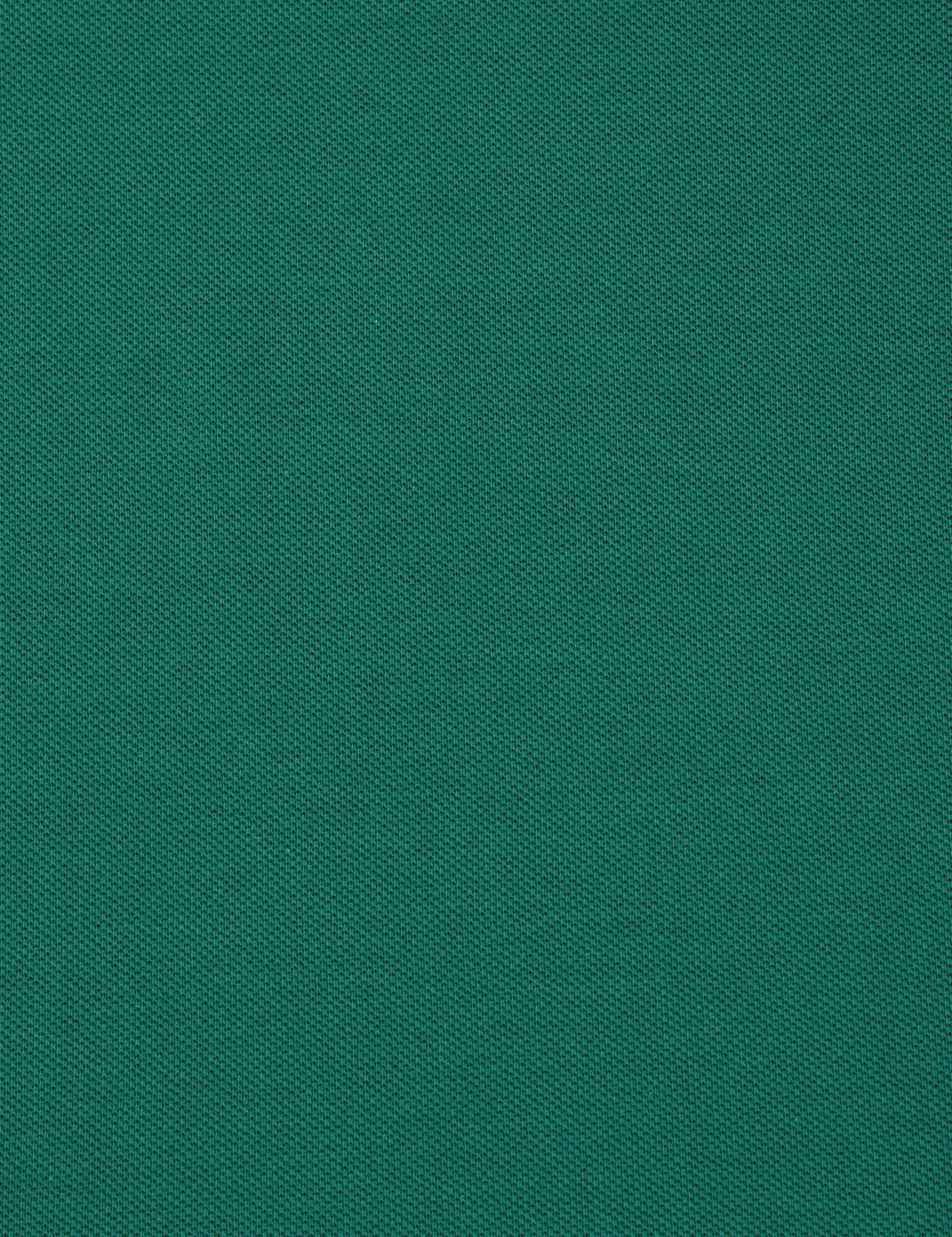 Yeşil Slim Fit %100 Pamuk Kıvrılmaz Düğmeli Polo Yaka Basic Tişört - Image 7