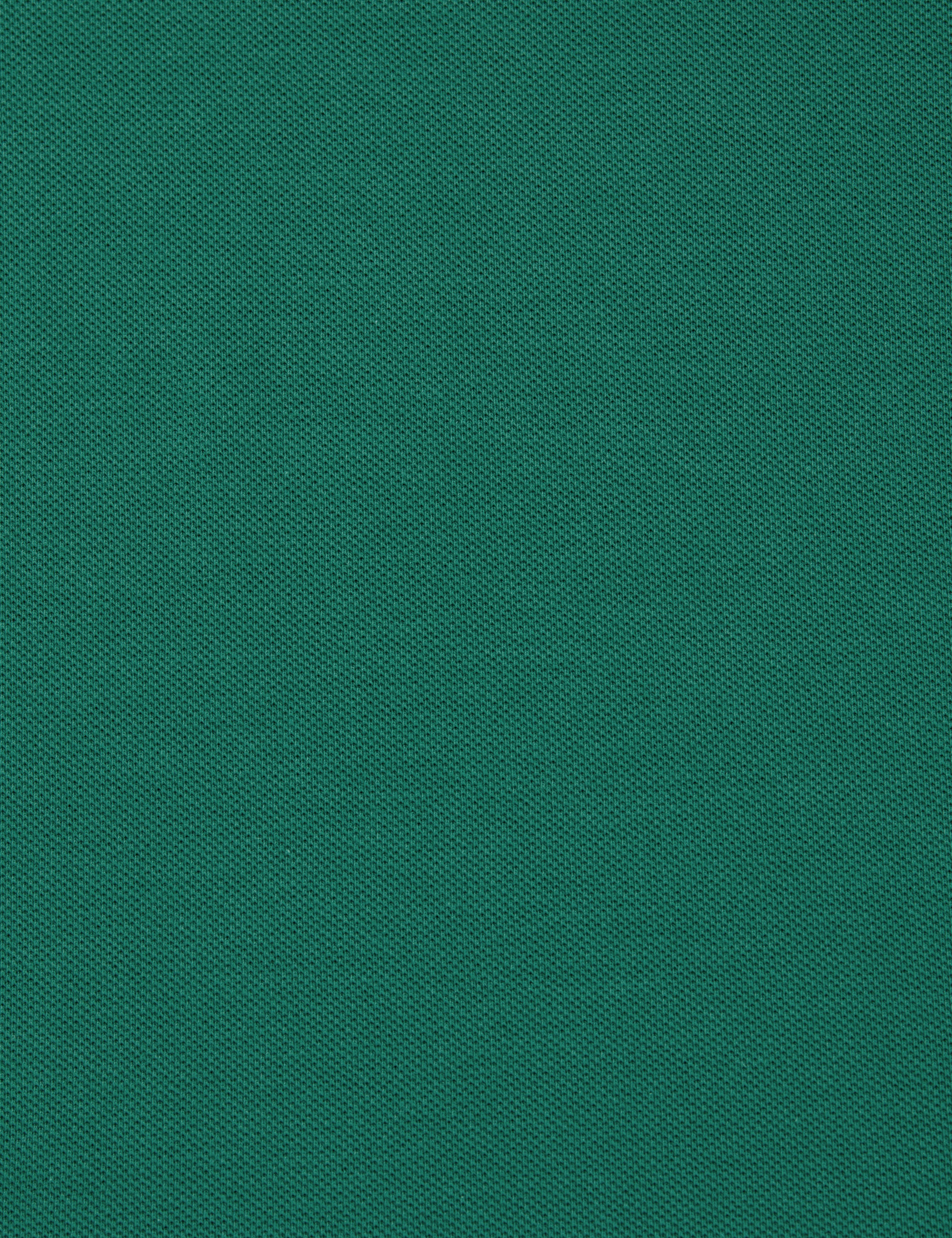 Yeşil Slim Fit %100 Pamuk Kıvrılmaz Düğmeli Polo Yaka Basic Tişört